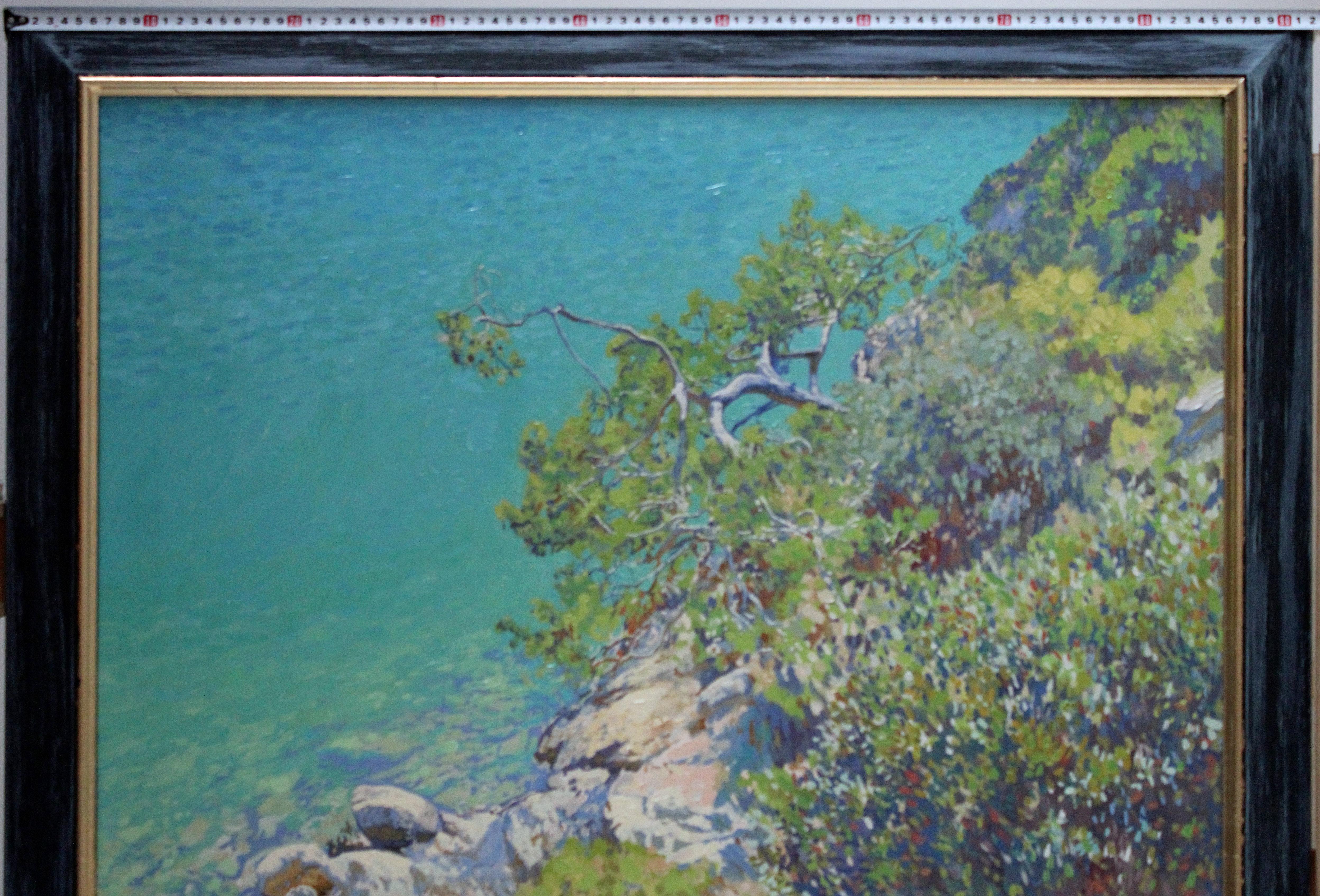 Kiefer in der Blauen Lagune im Angebot 7