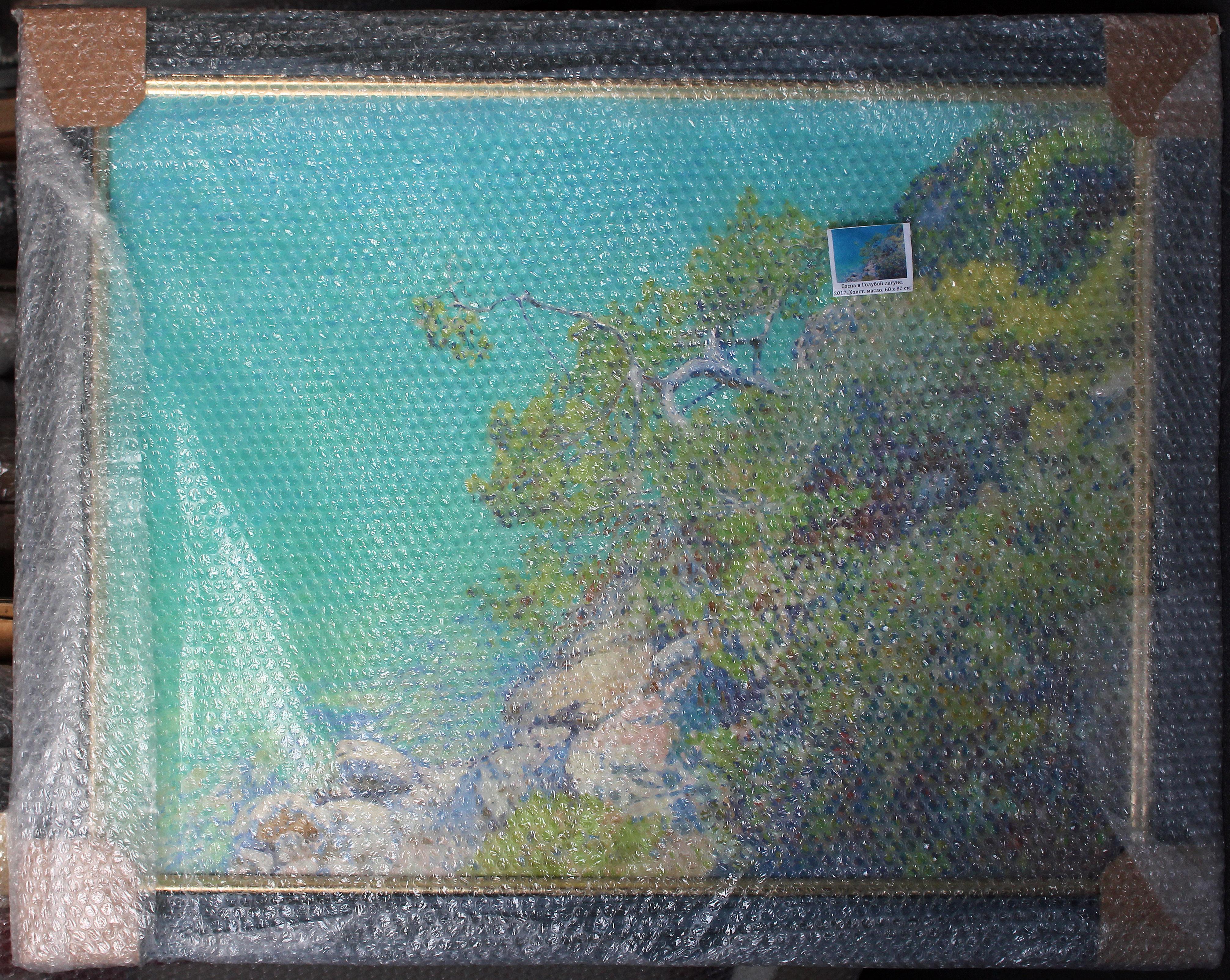 Kiefer in der Blauen Lagune im Angebot 9