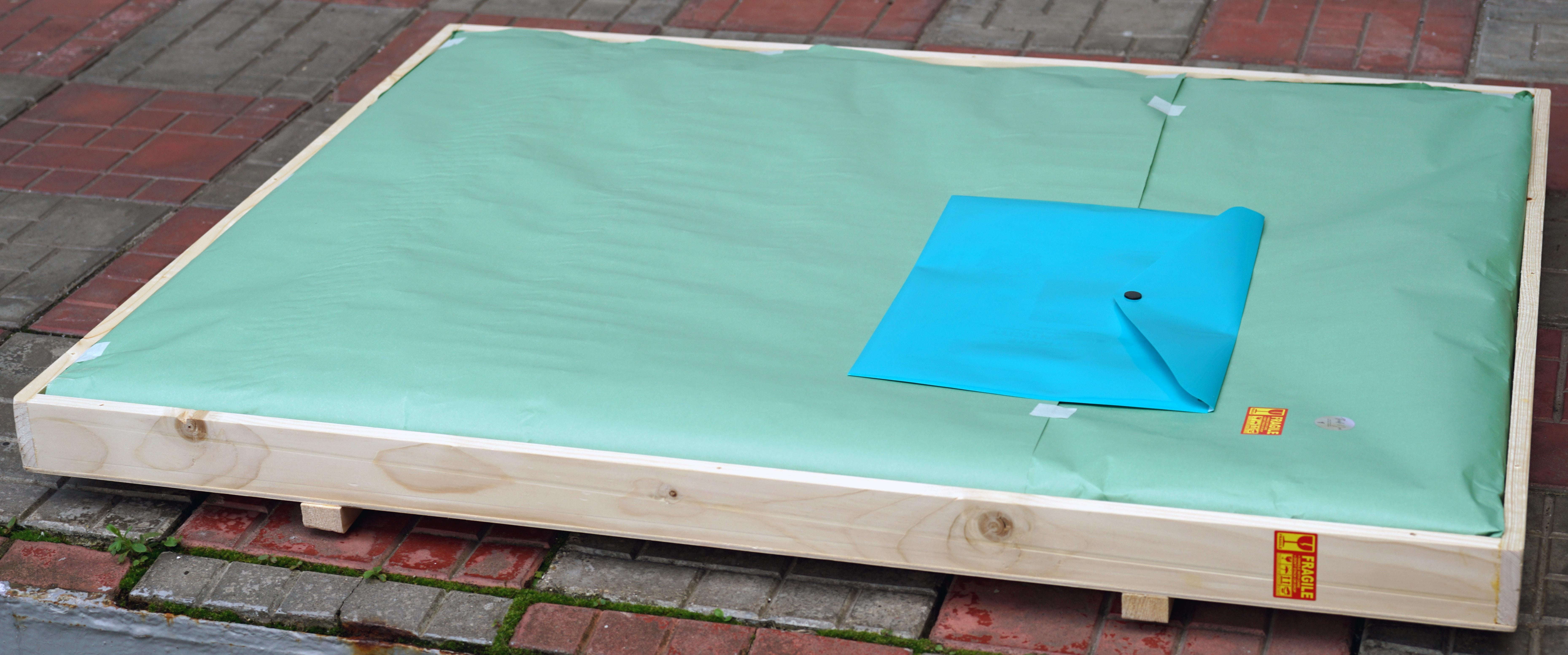 Kiefer in der Blauen Lagune im Angebot 13