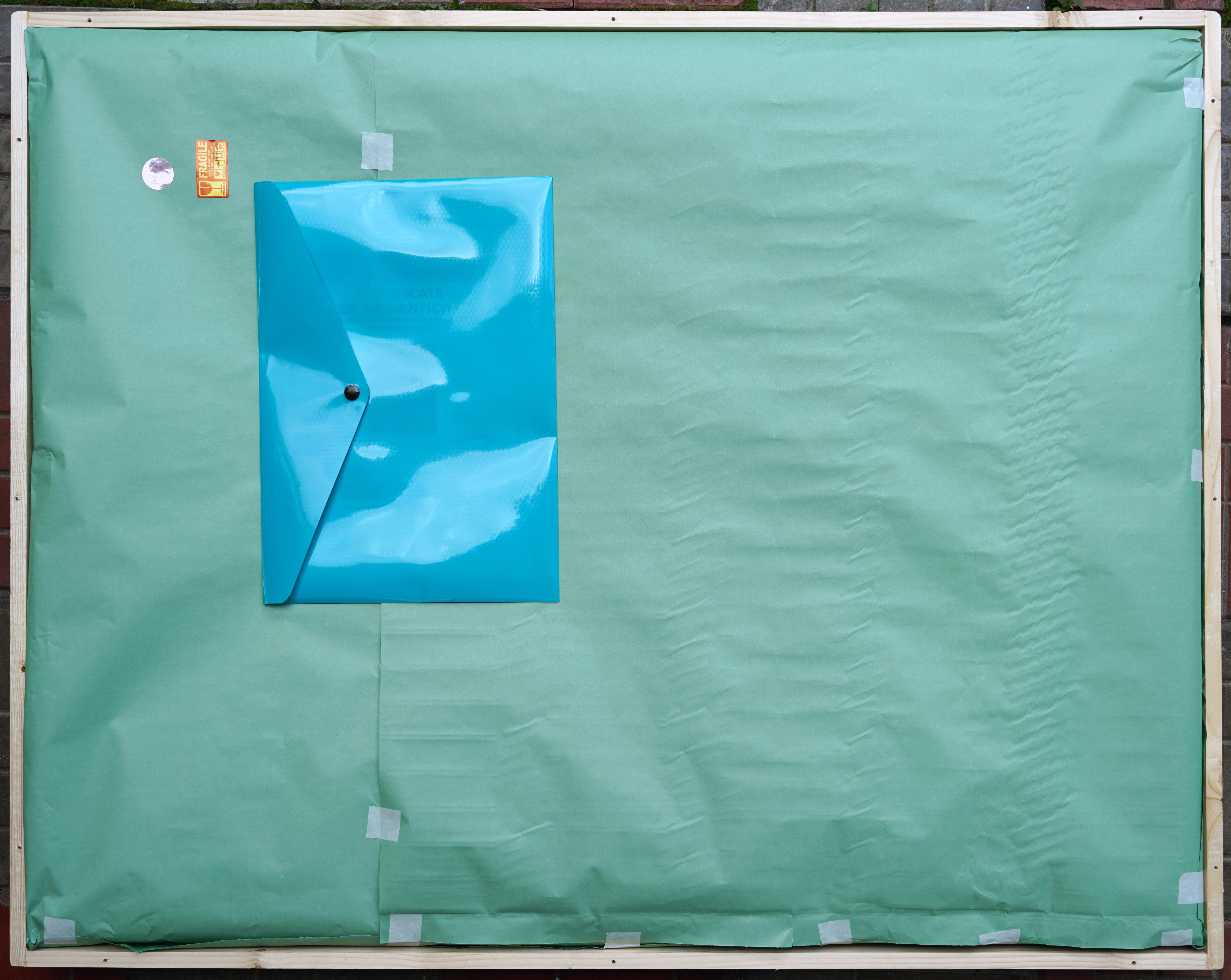 Kiefer in der Blauen Lagune im Angebot 14