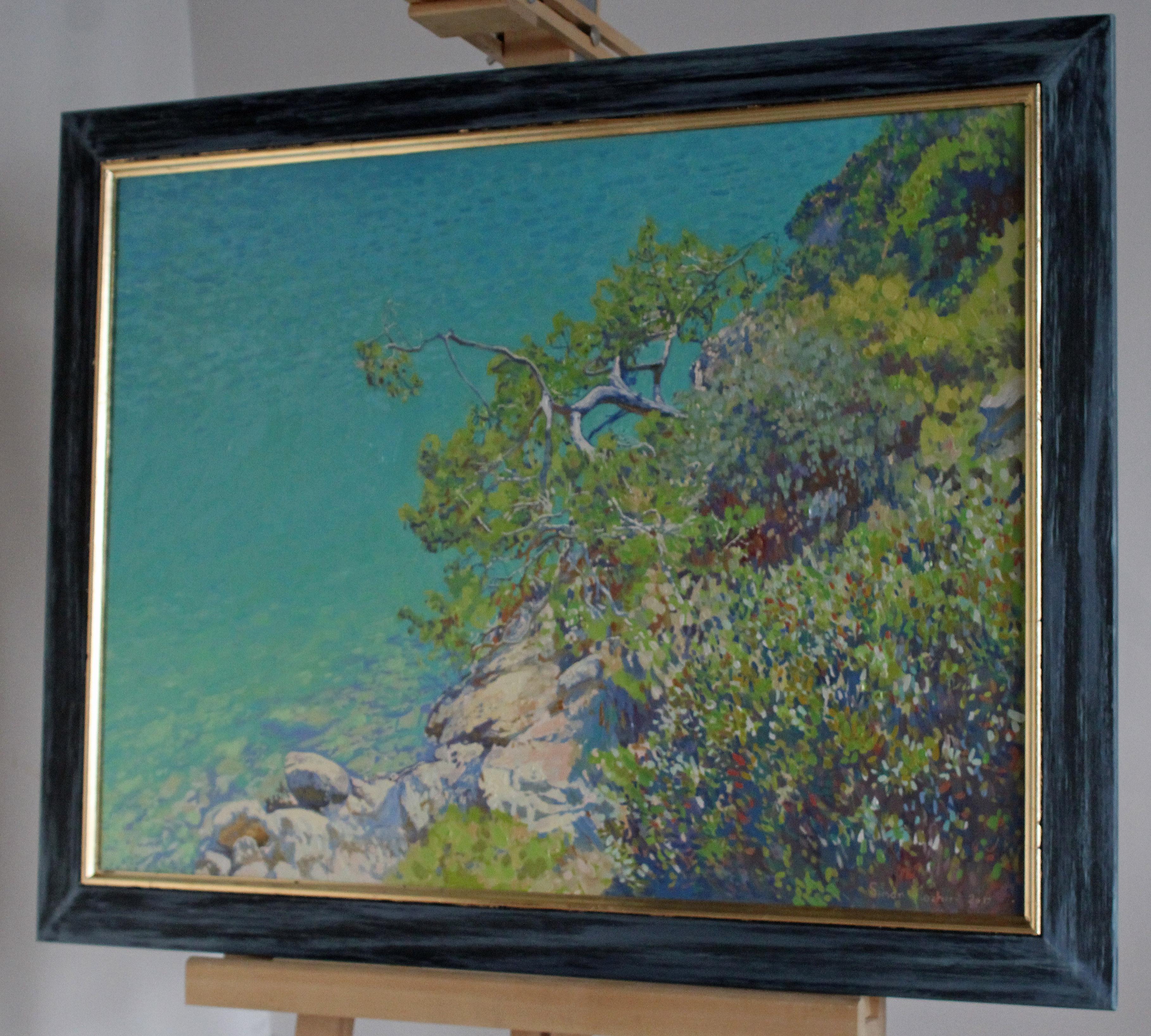 Kiefer in der Blauen Lagune im Angebot 3