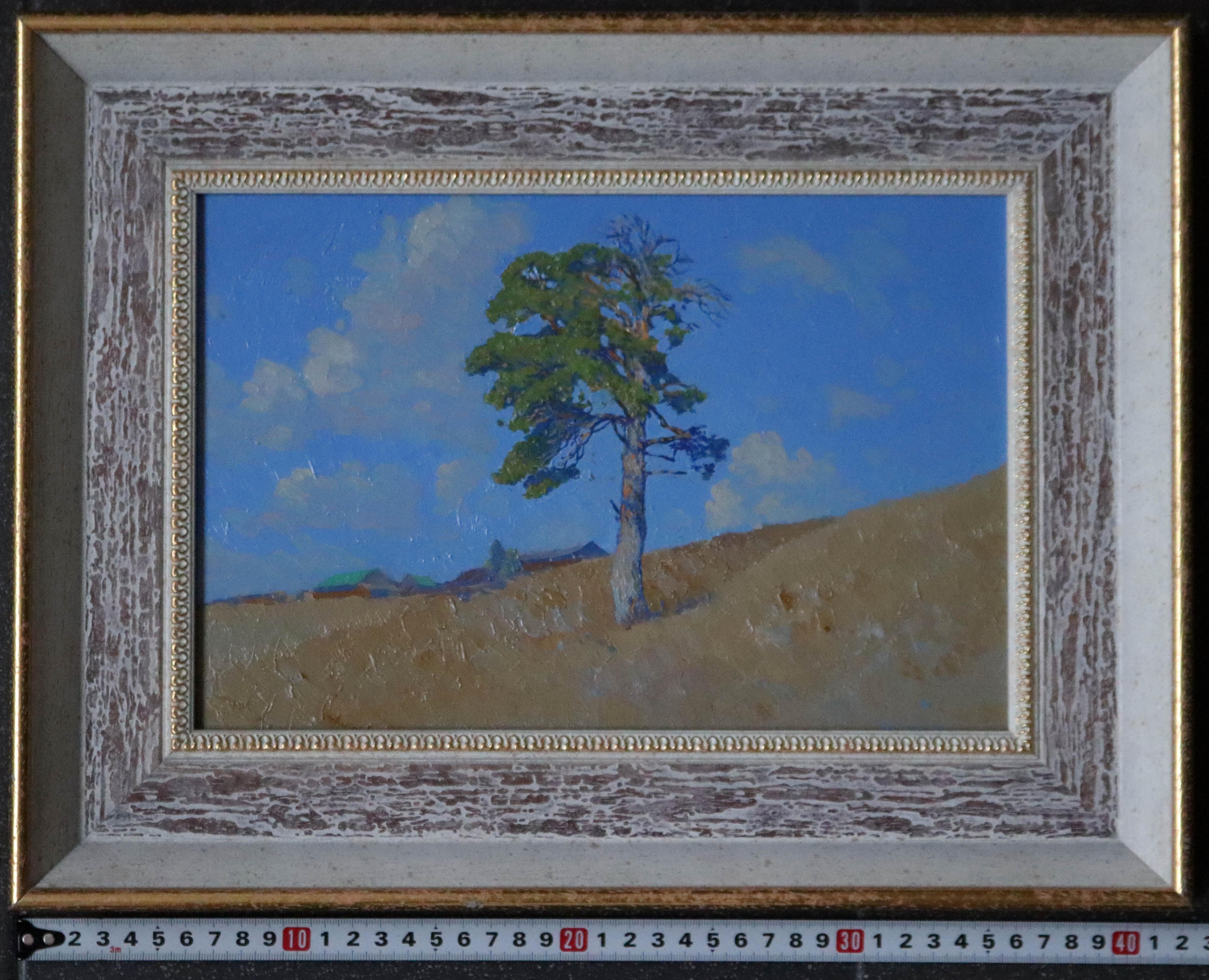 Pino su una collina. Kyn in vendita 7