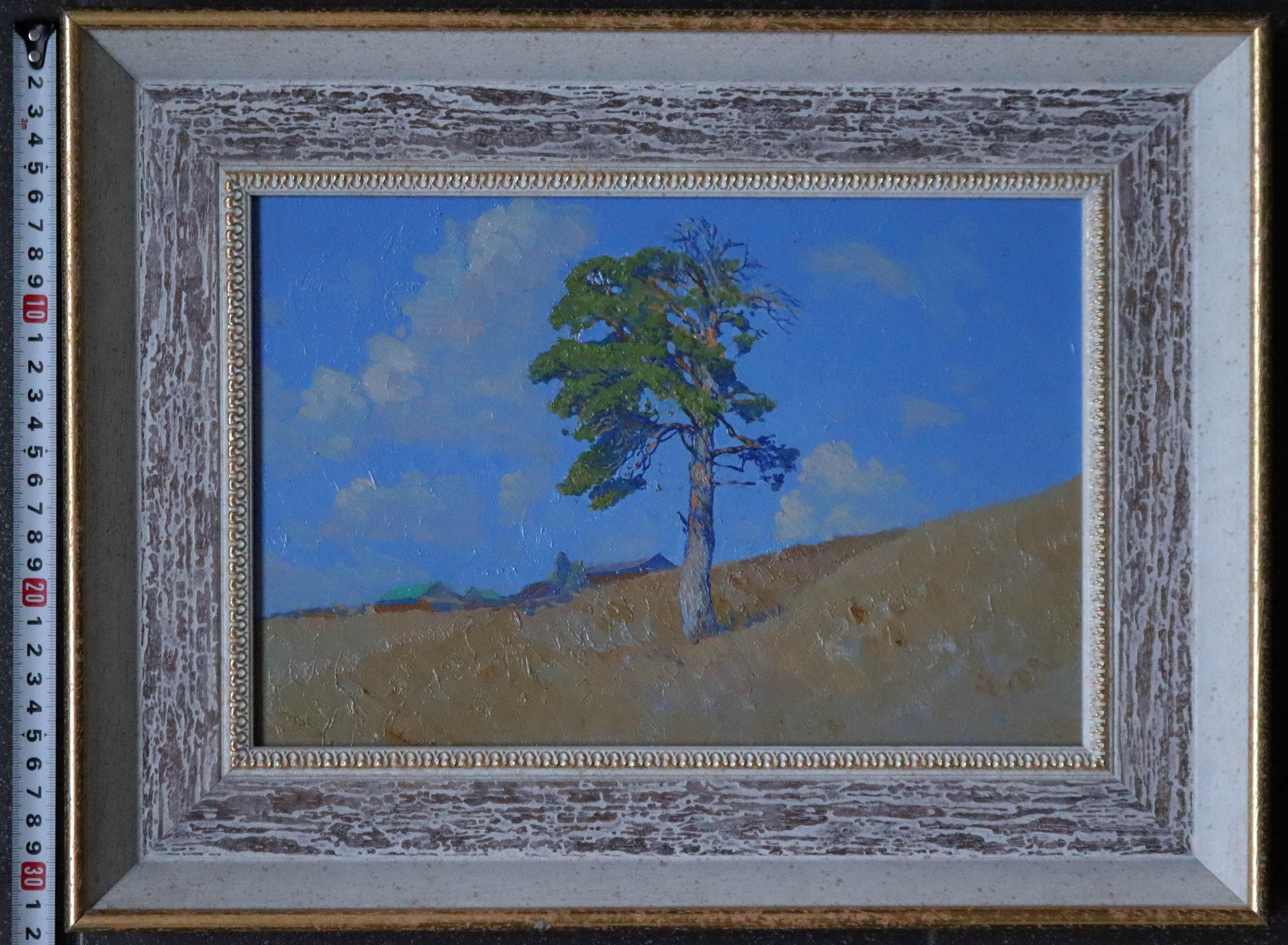 Pino su una collina. Kyn in vendita 8