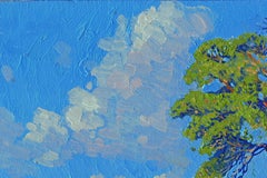 Pino su una collina. Kyn