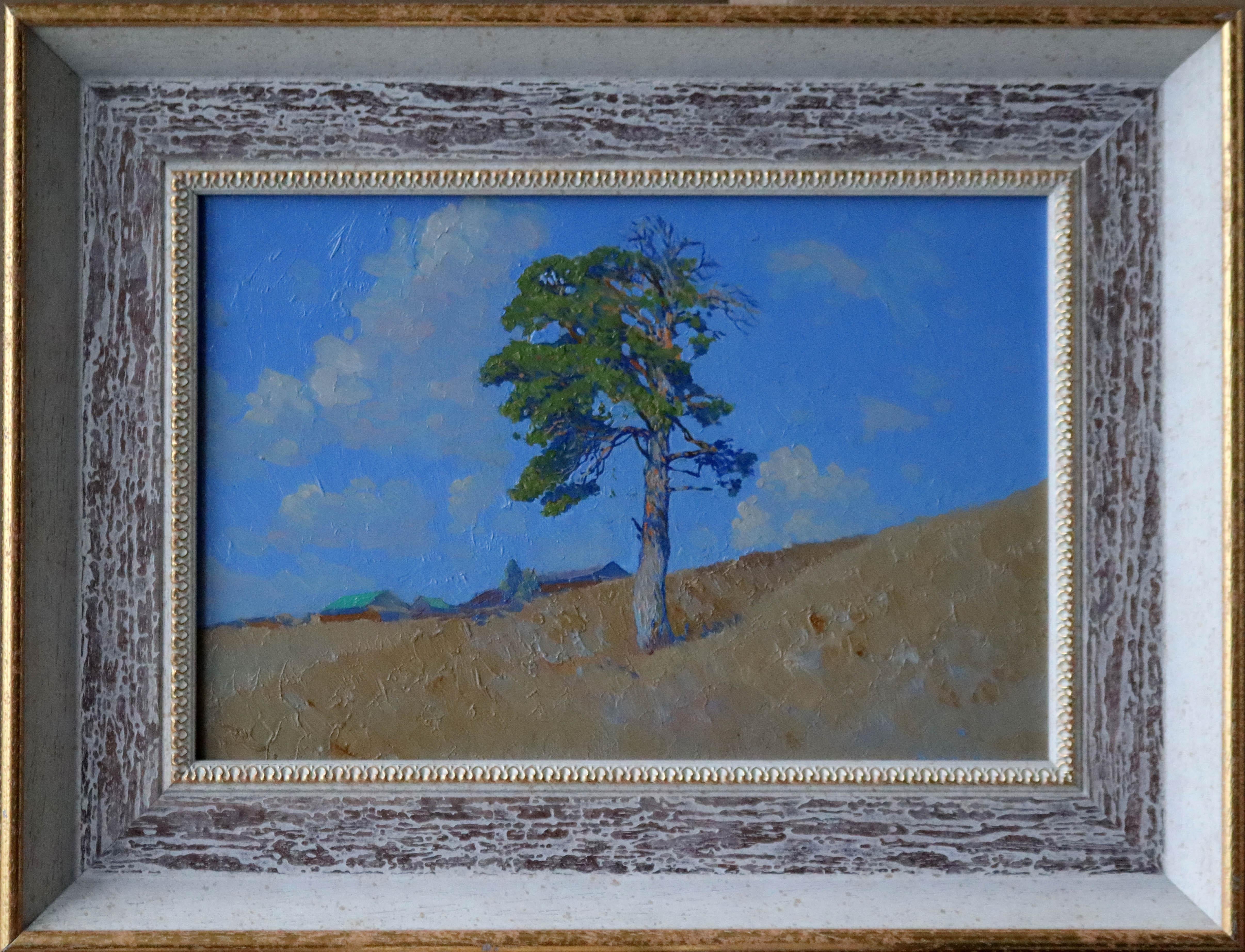 Pino su una collina. Kyn in vendita 2