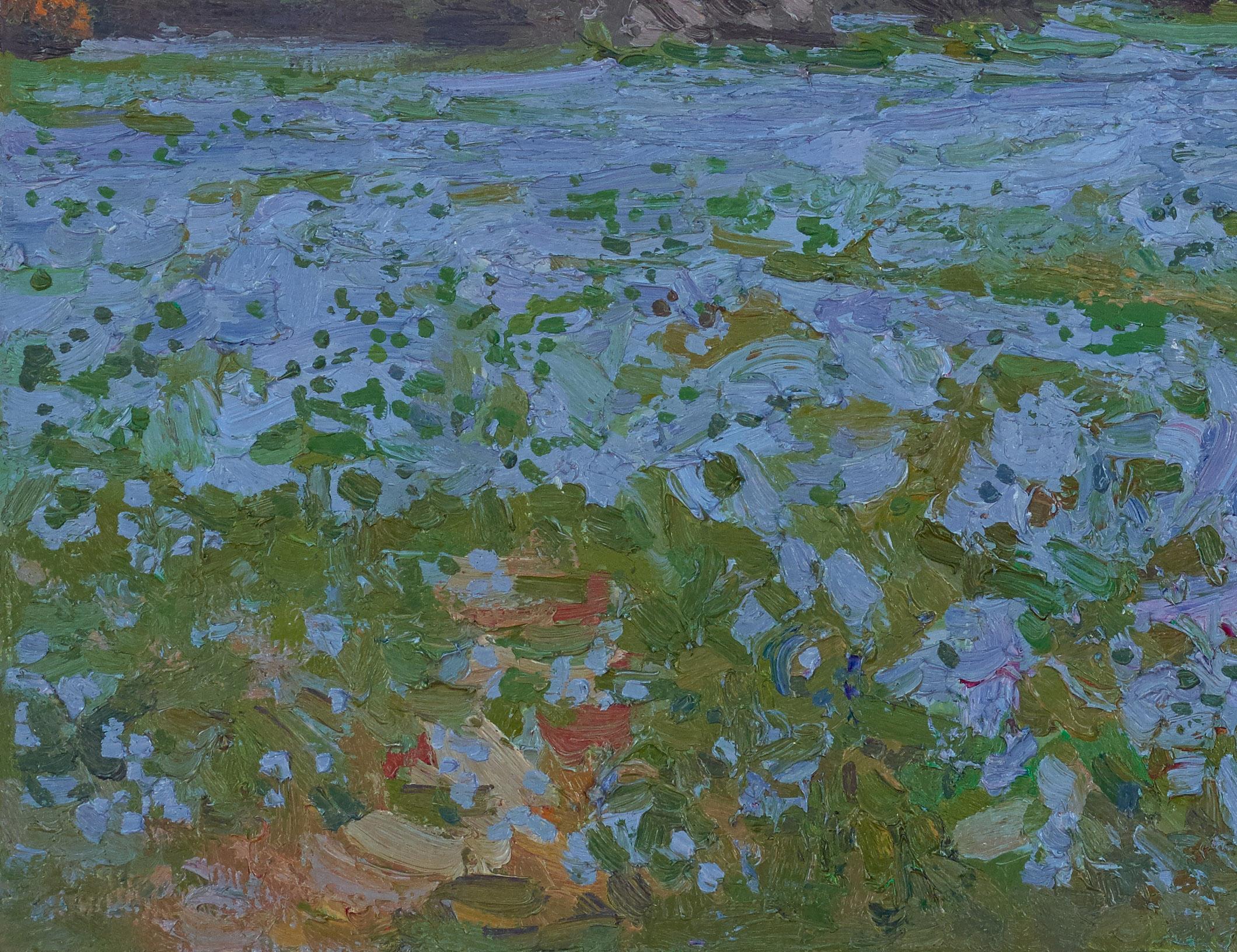 Scilla Lucilia - Landscape Painting Grigio di Simon Kozhin