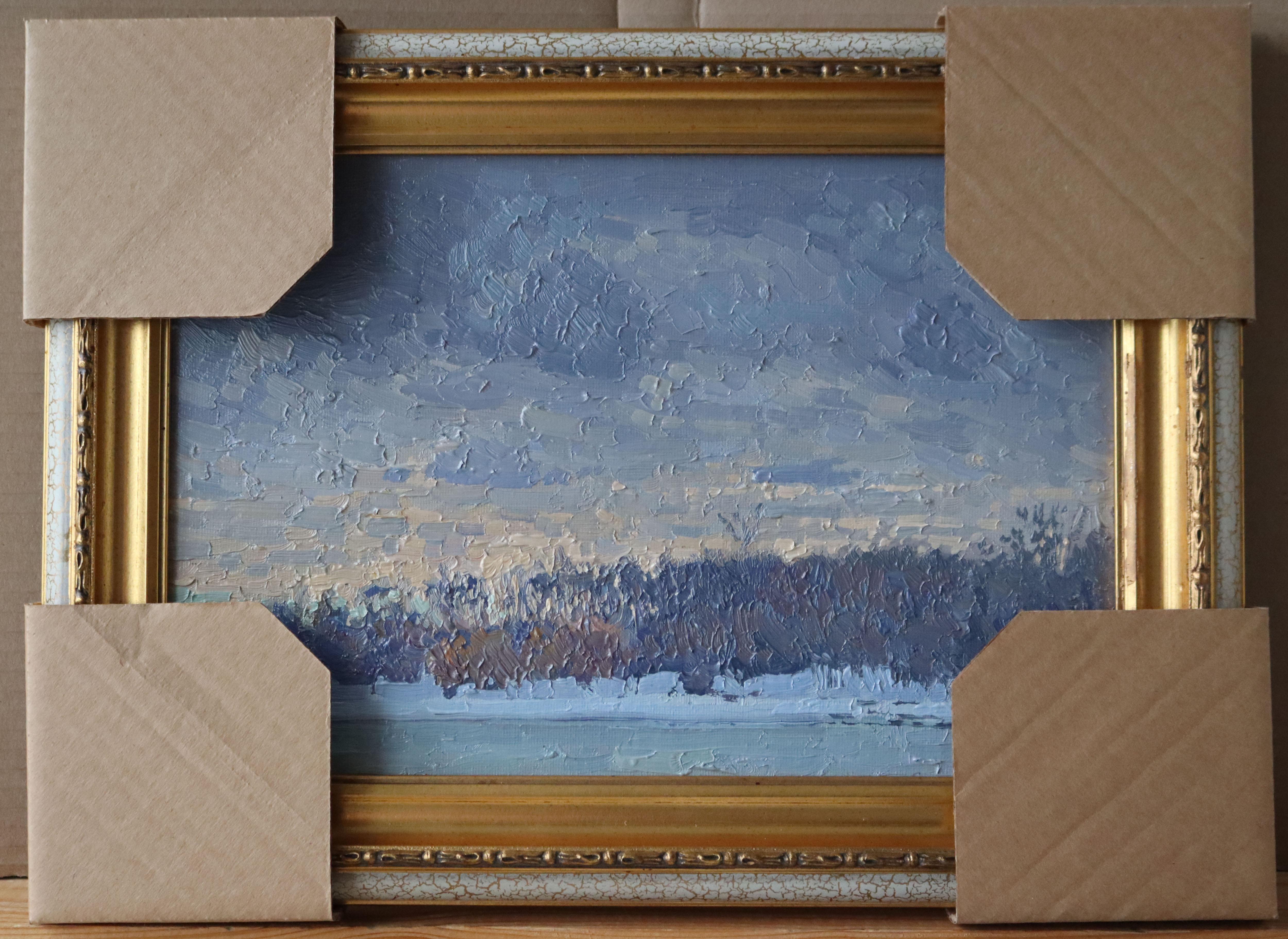 A Silver. Tsaritsyno en vente 4