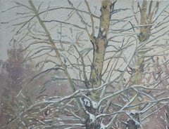 Boulevard enneigé de Maryino