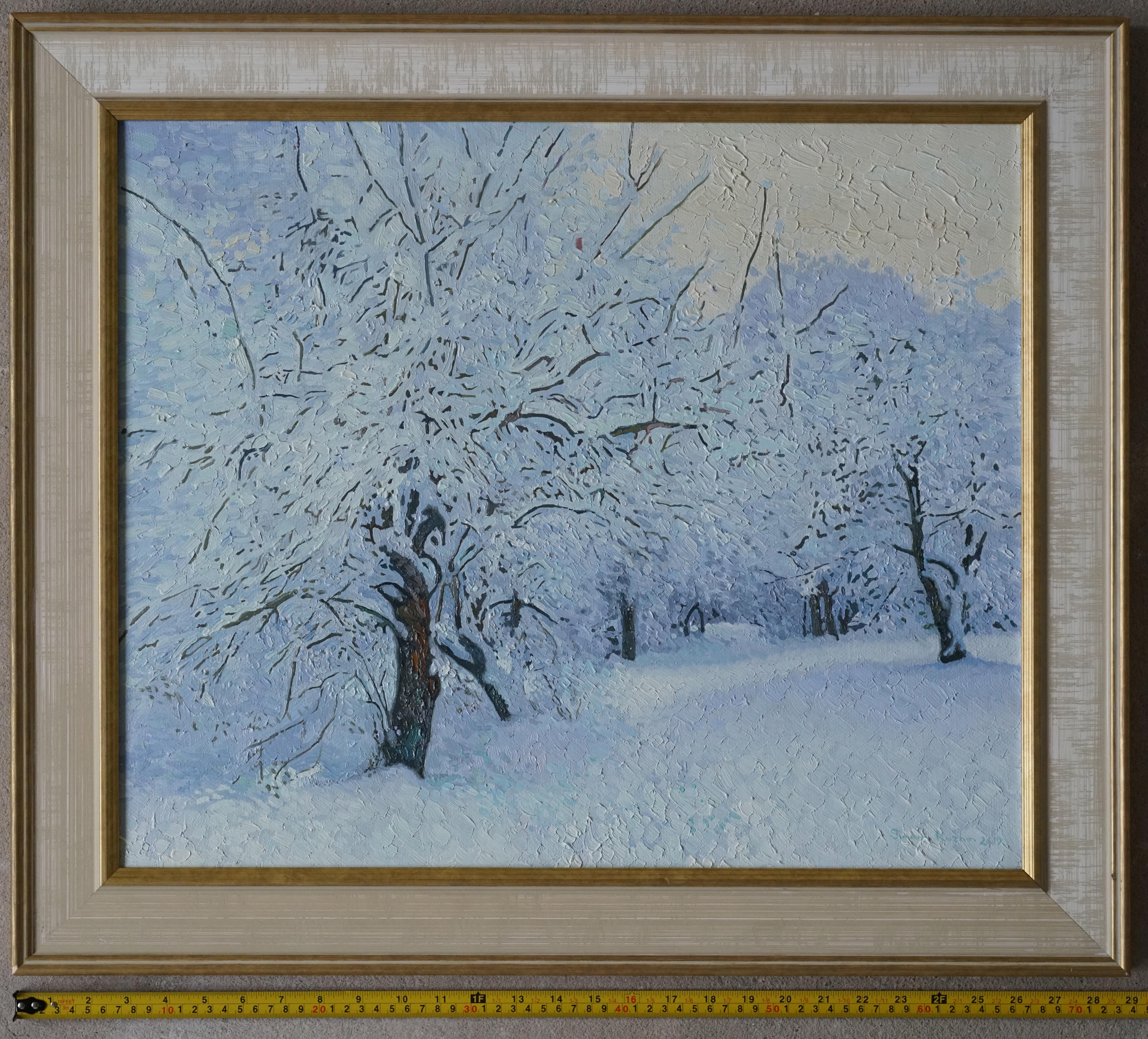 Jardín cubierto de nieve. Kuzminki en venta 9