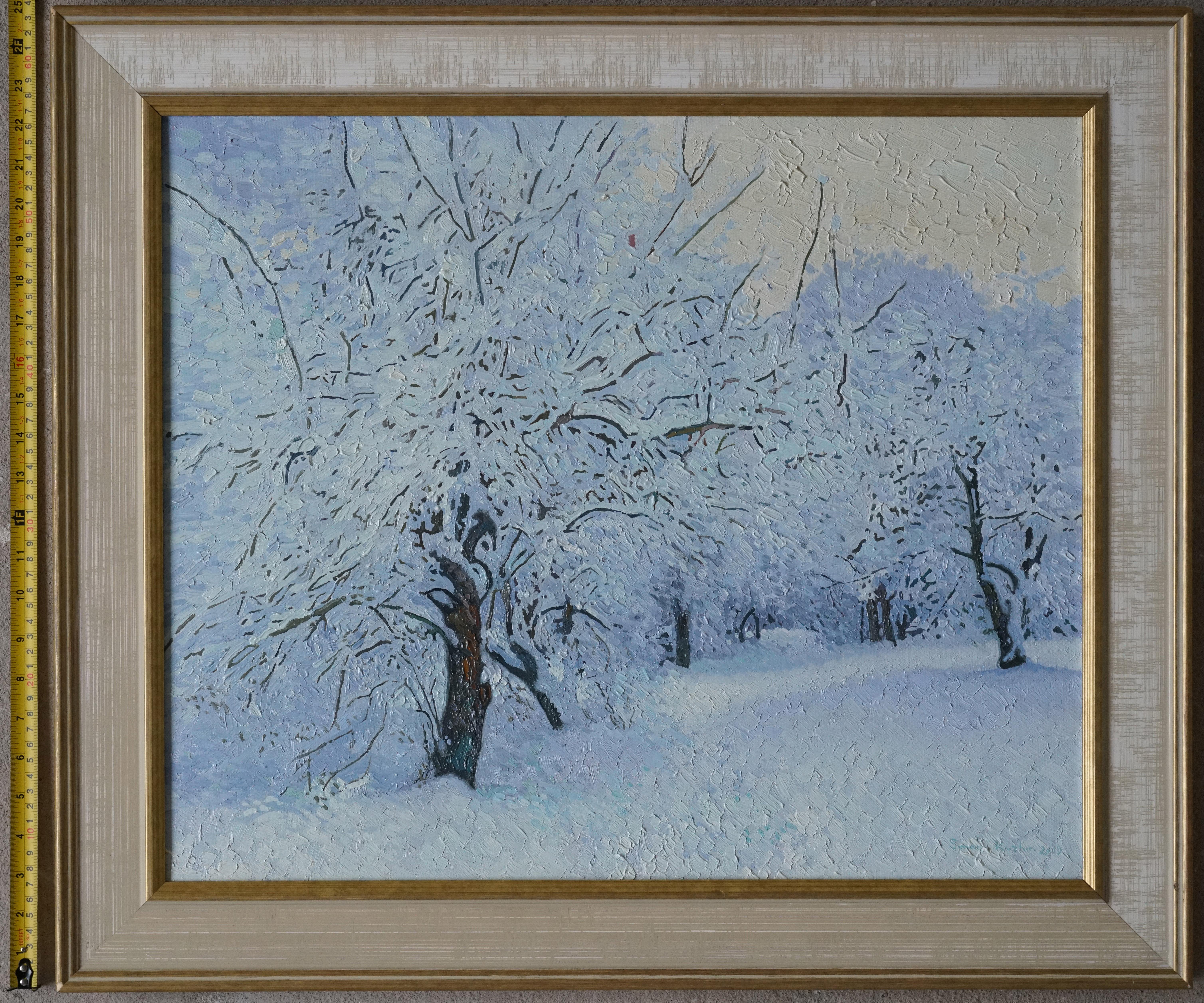 Jardín cubierto de nieve. Kuzminki en venta 10