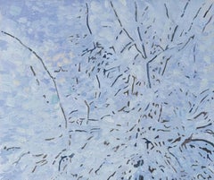 Snow-covered garden. Kuzminki