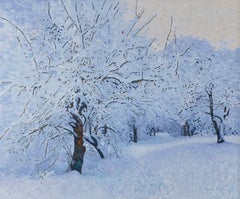 Snow-covered garden. Kuzminki