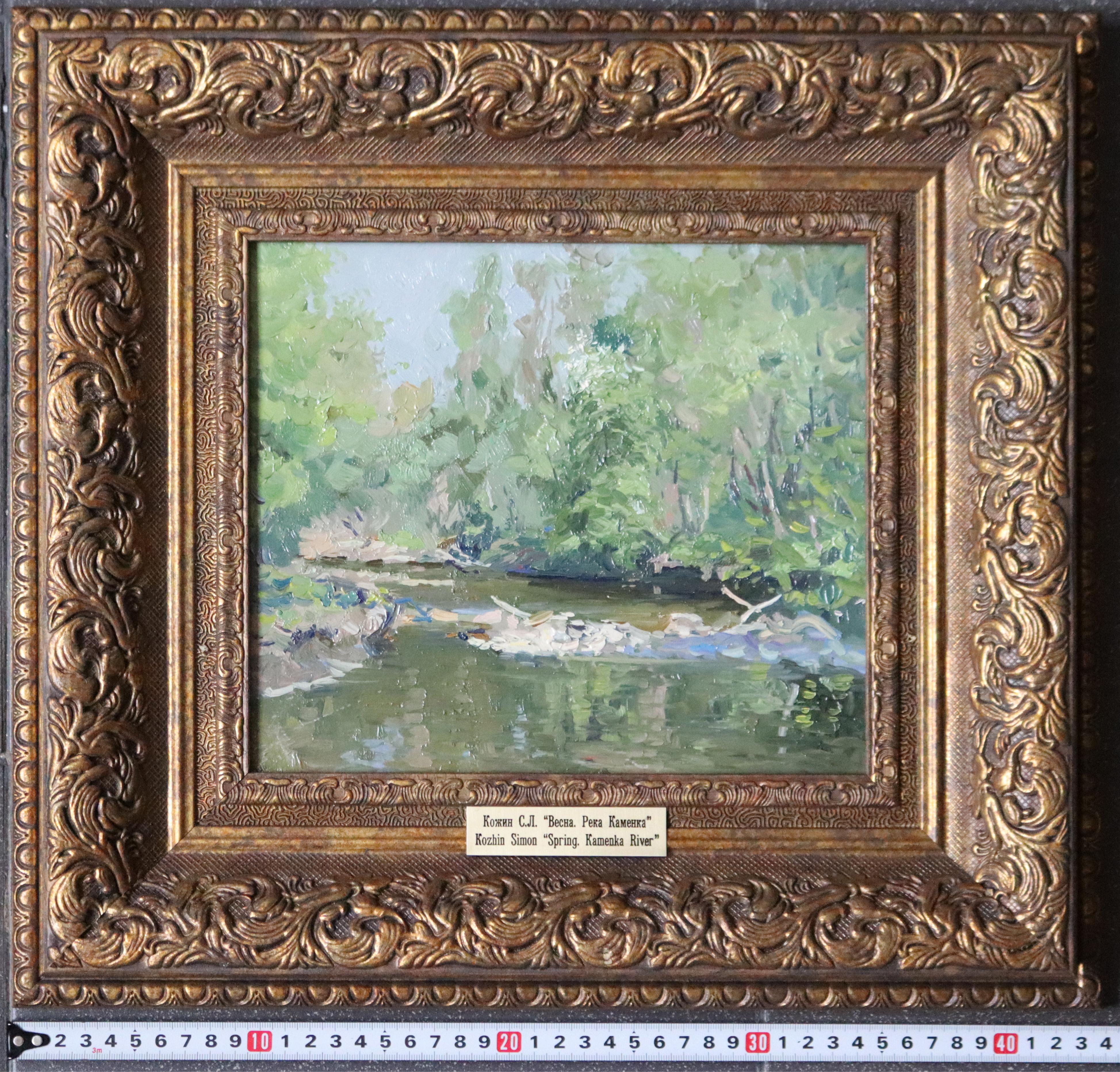 Primavera. Río Kamenka en venta 2