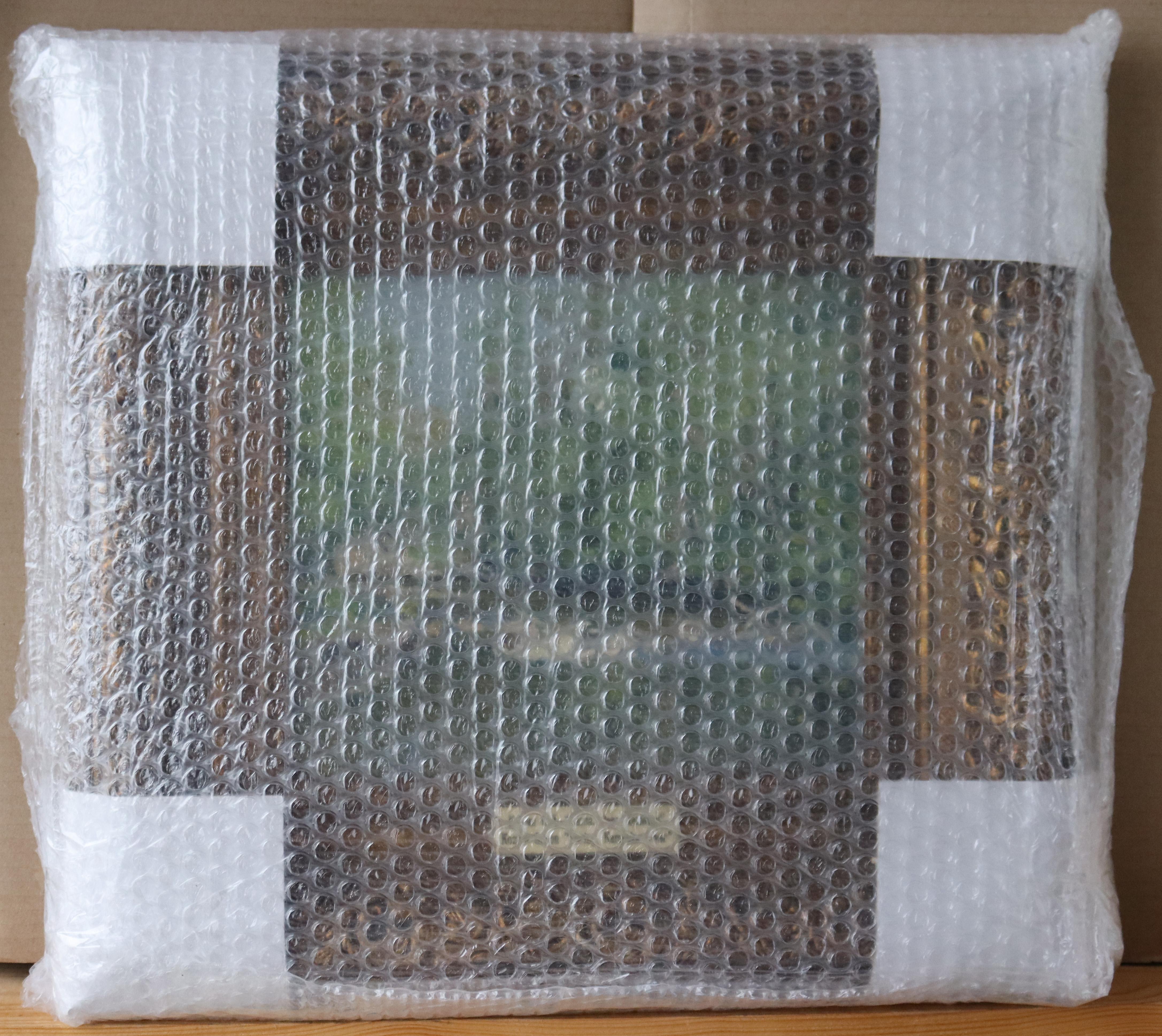Primavera. Río Kamenka en venta 4