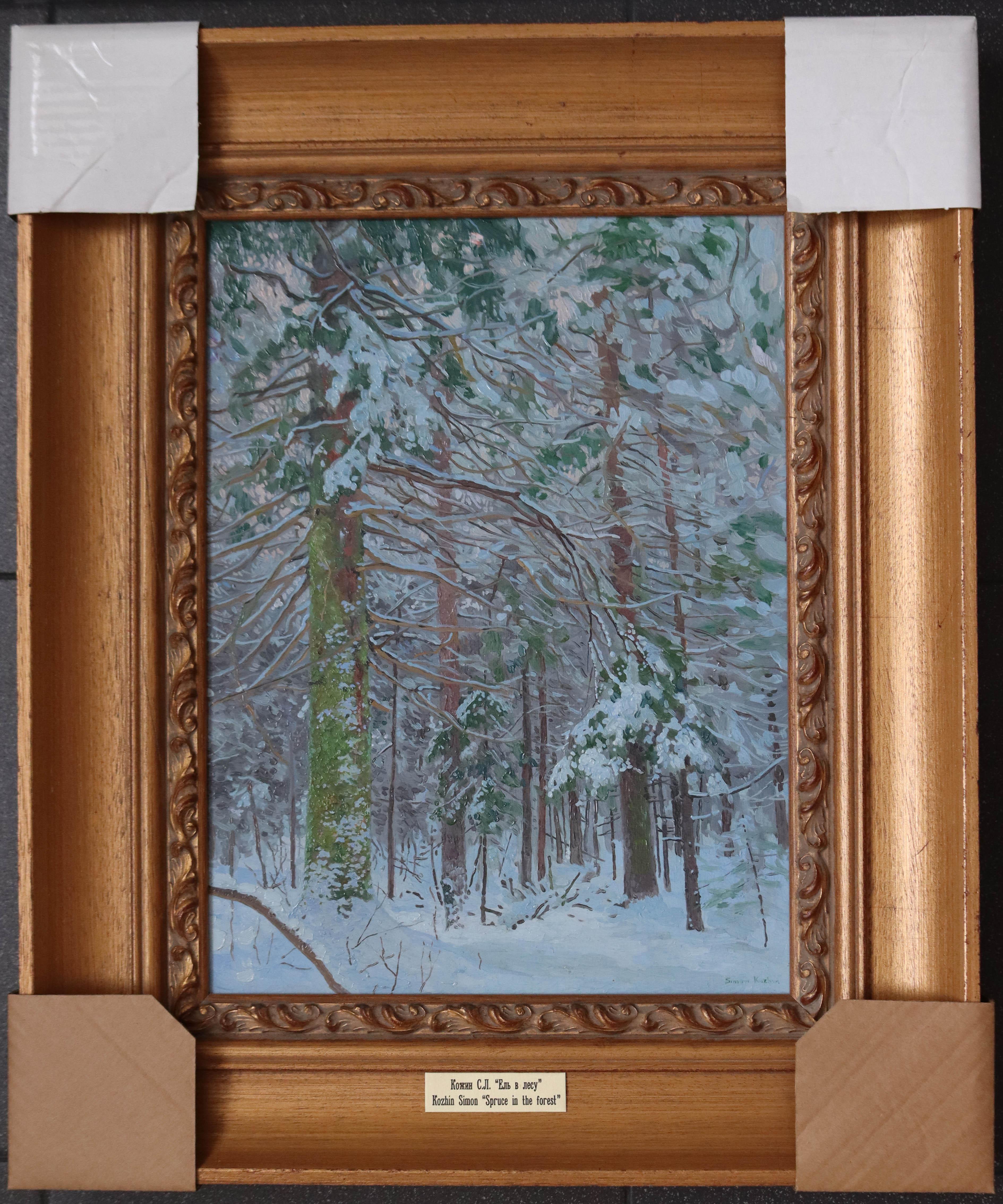 Spruce in the forest For Sale 6