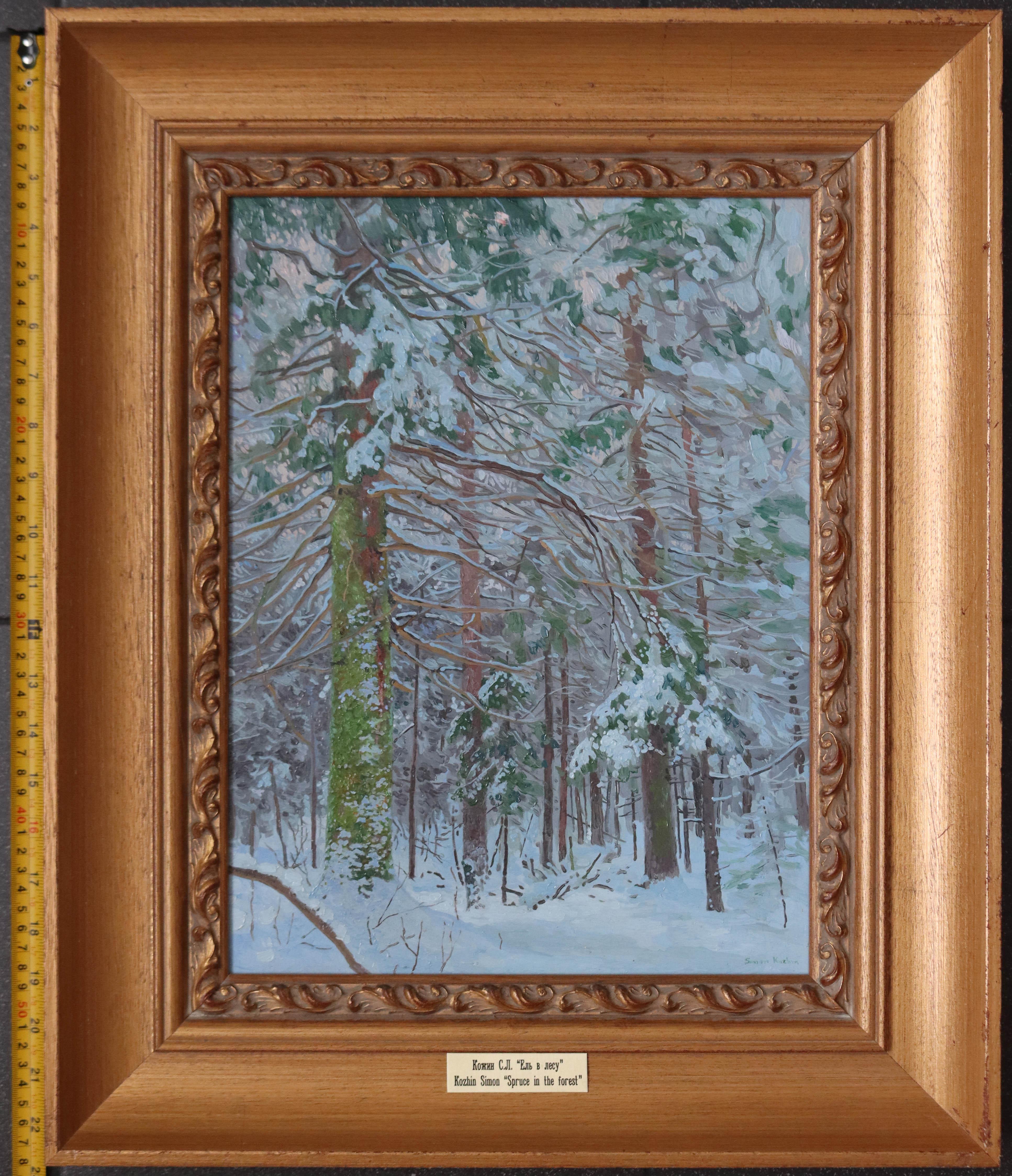 Spruce in the forest For Sale 1