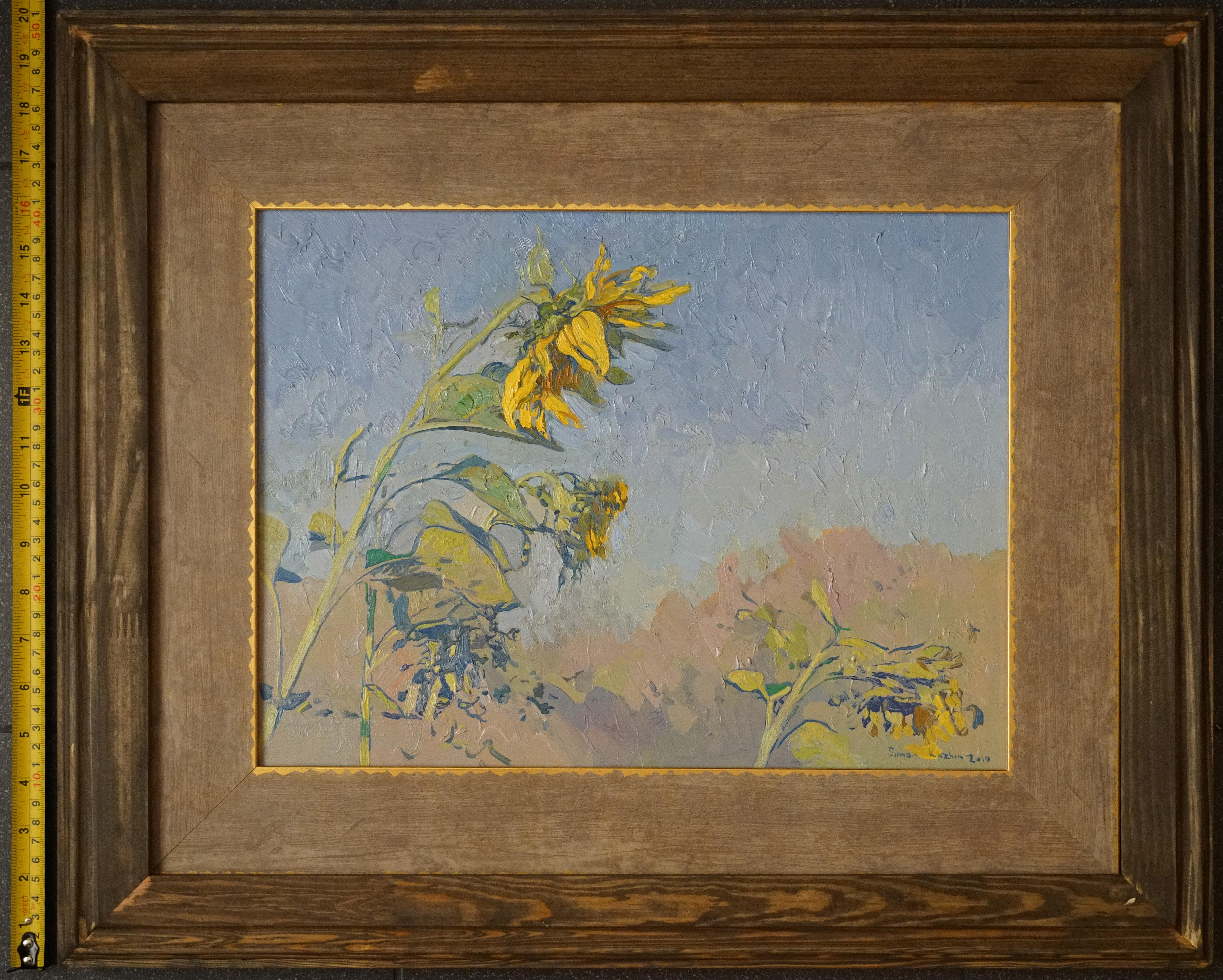 Sonnenblumen im Angebot 5