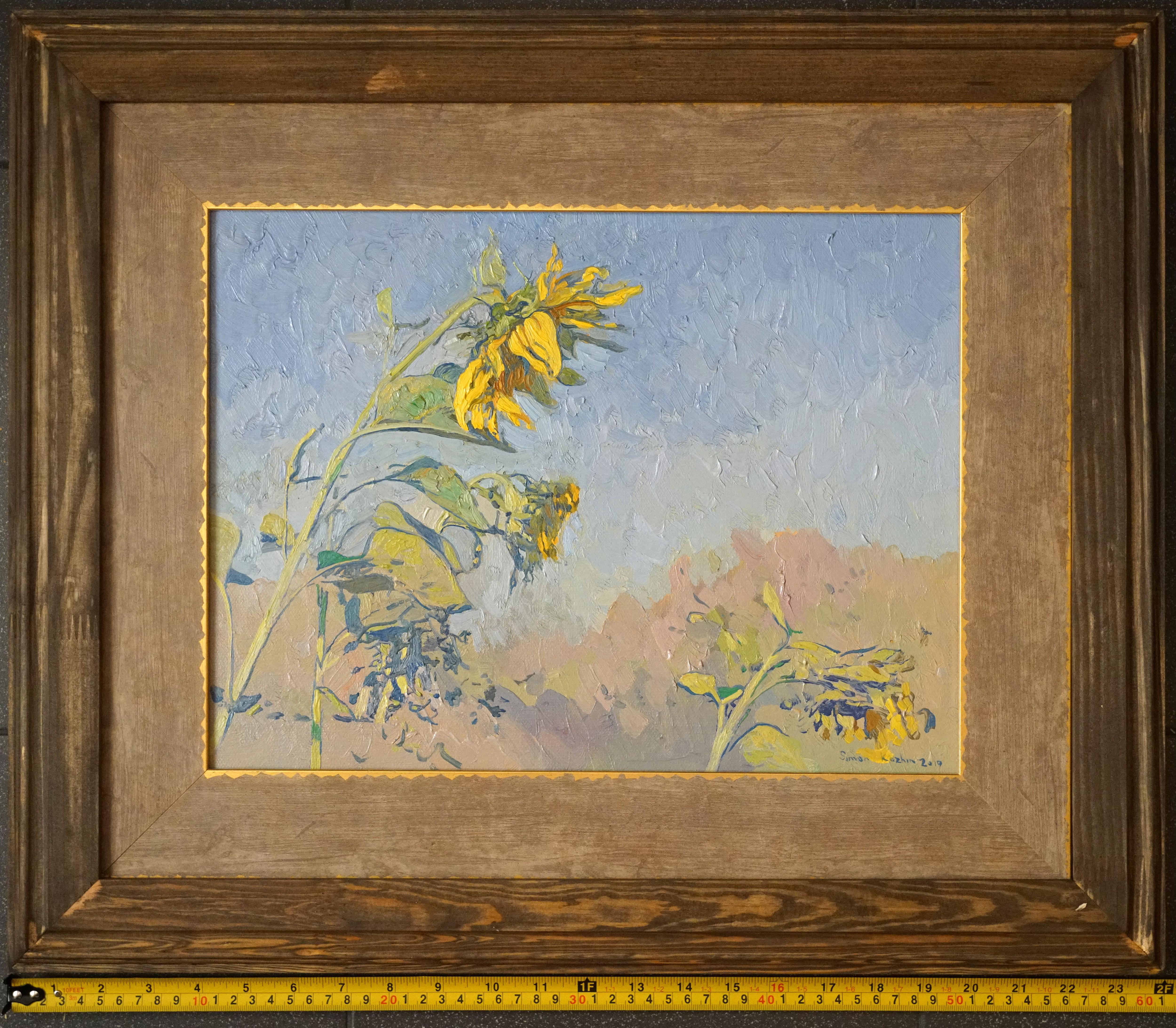 Sonnenblumen im Angebot 6