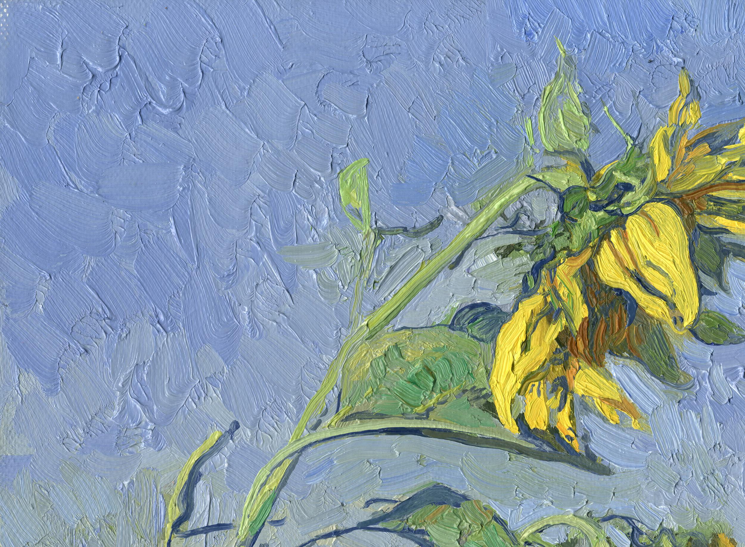 Sonnenblumen im Angebot 8