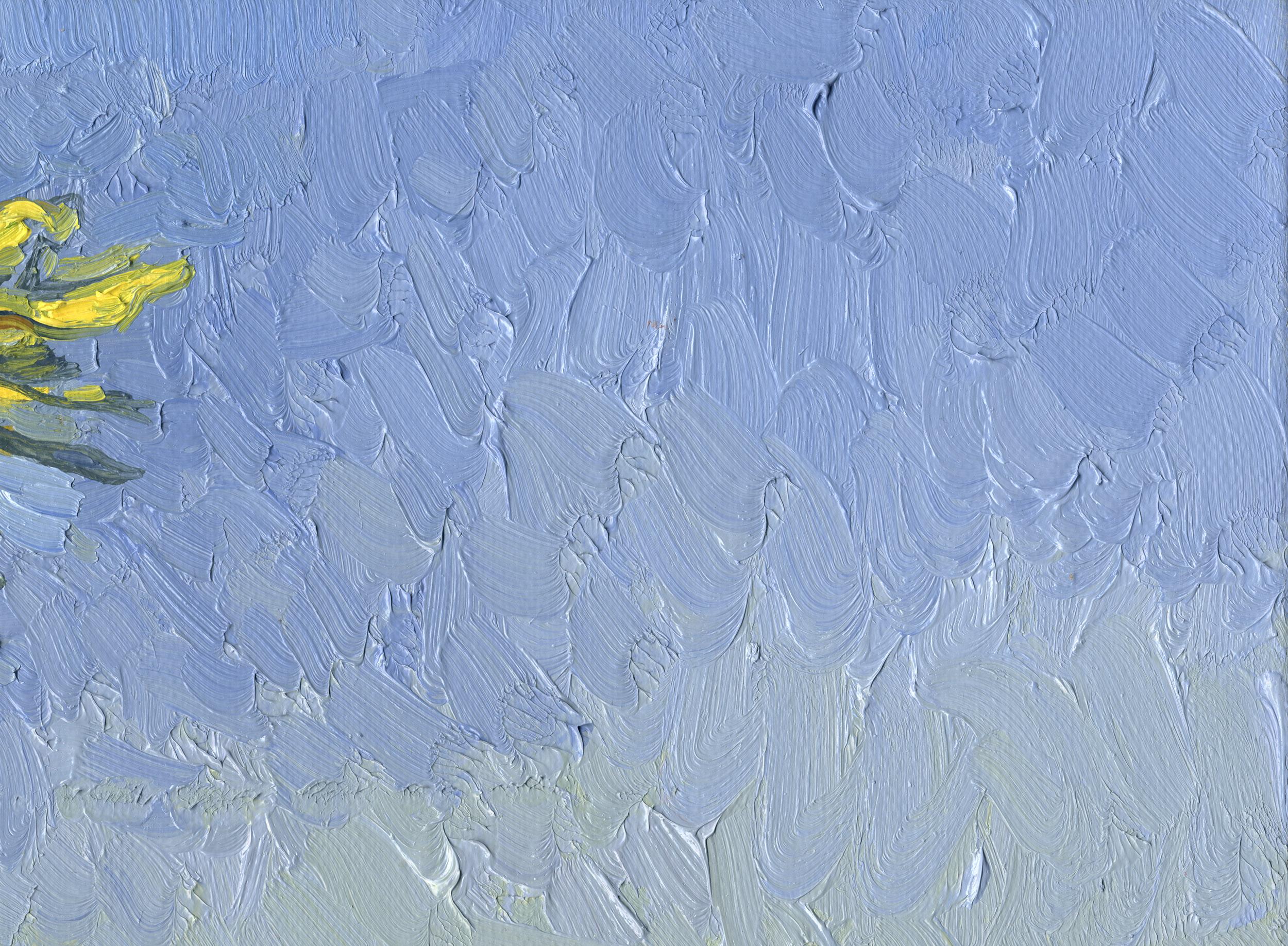 Sonnenblumen im Angebot 9