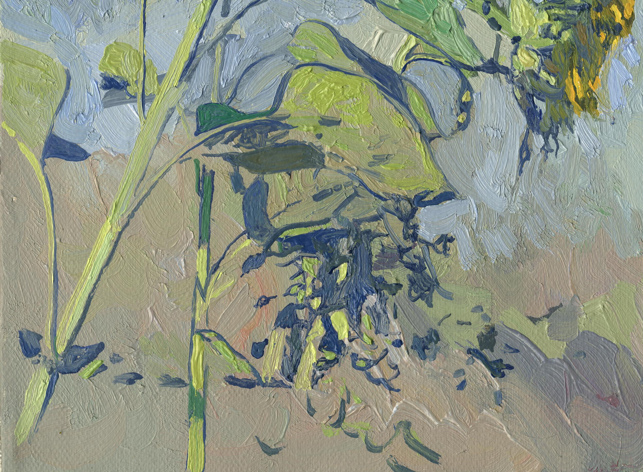 Sonnenblumen im Angebot 10