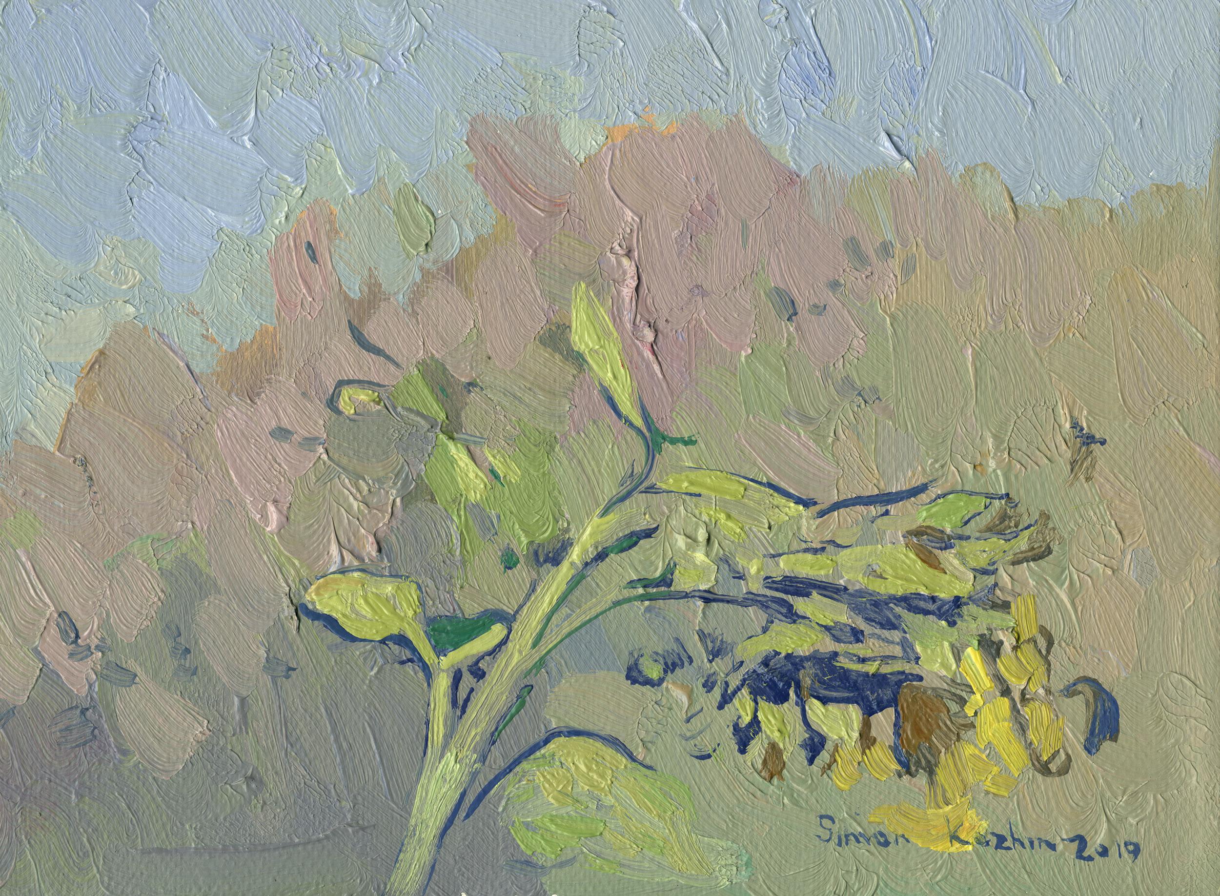 Sonnenblumen im Angebot 11