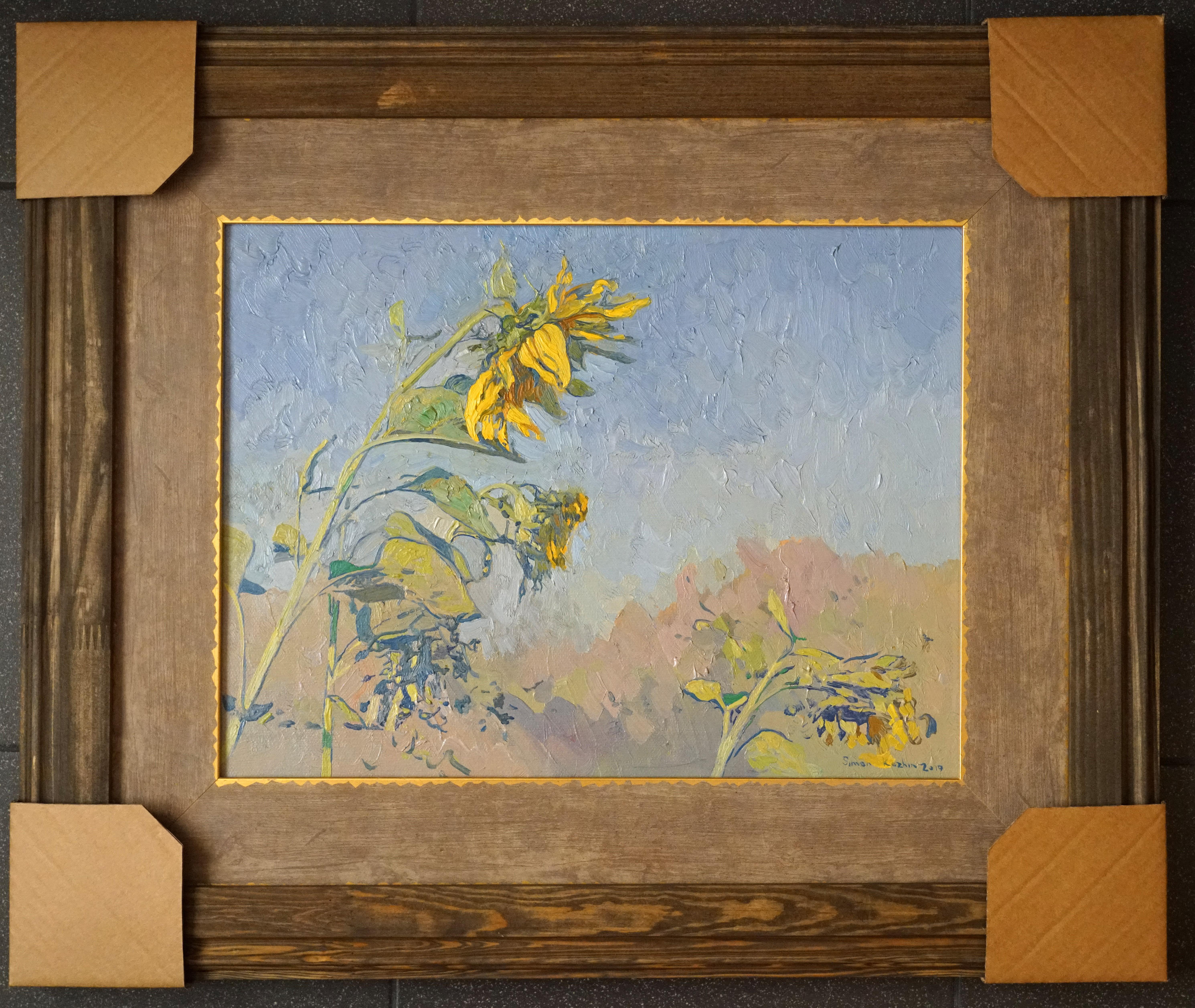 Sonnenblumen im Angebot 12