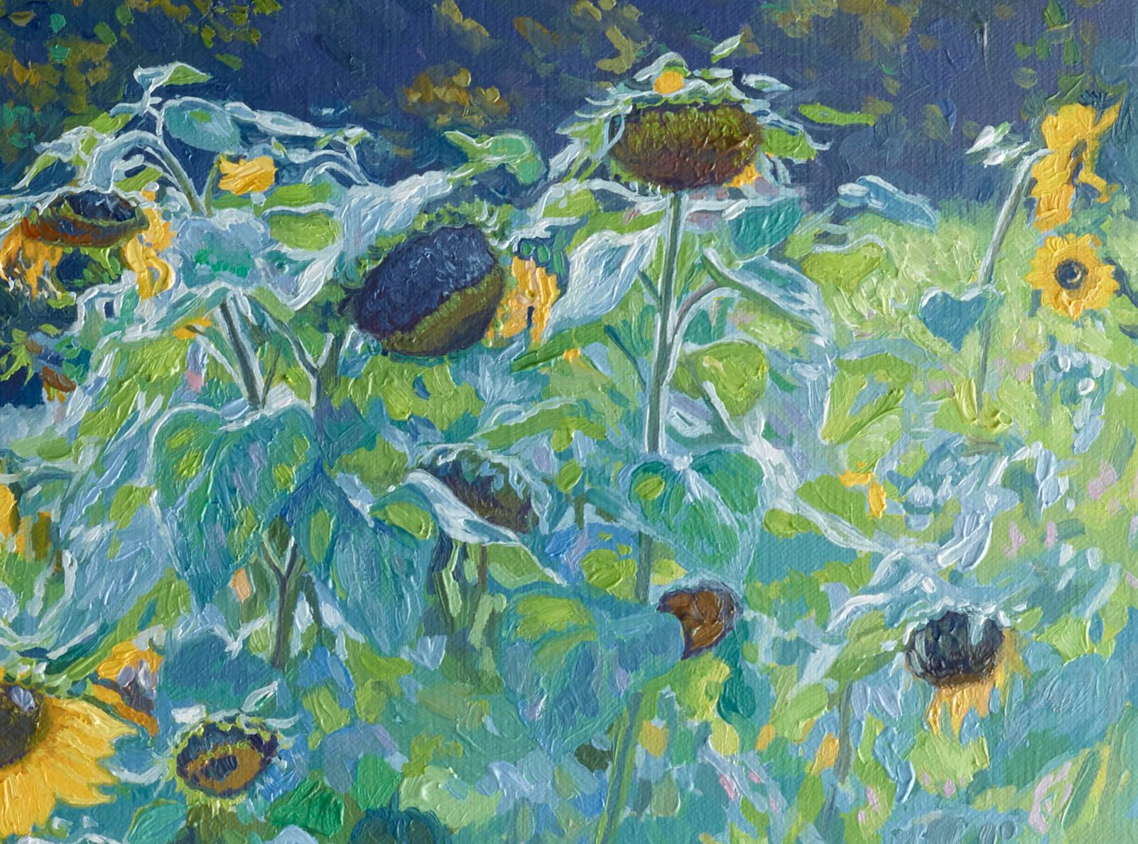 Ein kleiner Garten im Kolomenskoje-Park, in dem Sonnenblumen wuchsen, lockte mich mit seiner malerischen Aussicht. Die Schönheit der Rhythmen der goldenen Farben und die Vielfalt der grünen Flecken im Schatten ziehen das Auge an und locken. In