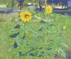 Sonnenblumen in Maryino