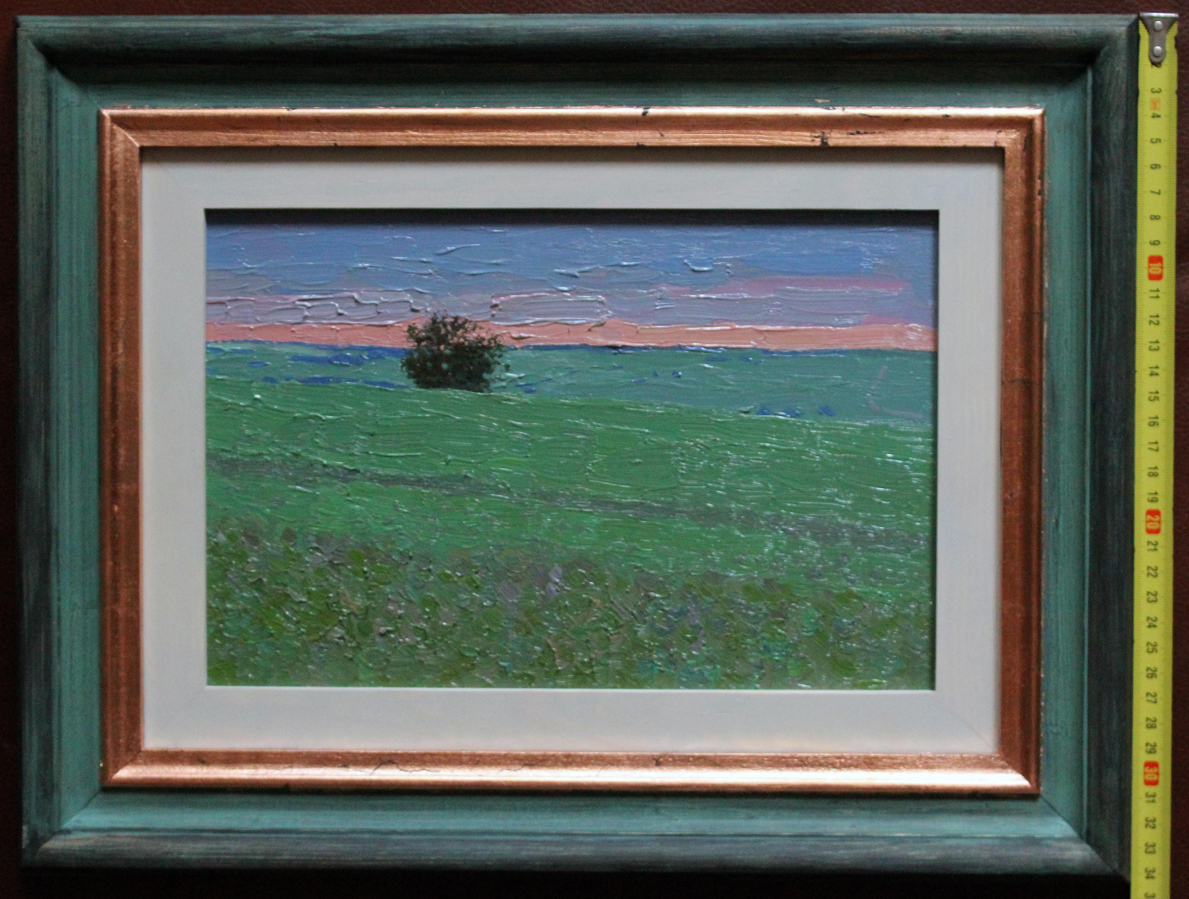 Tramonto in un campo di piselli in vendita 8