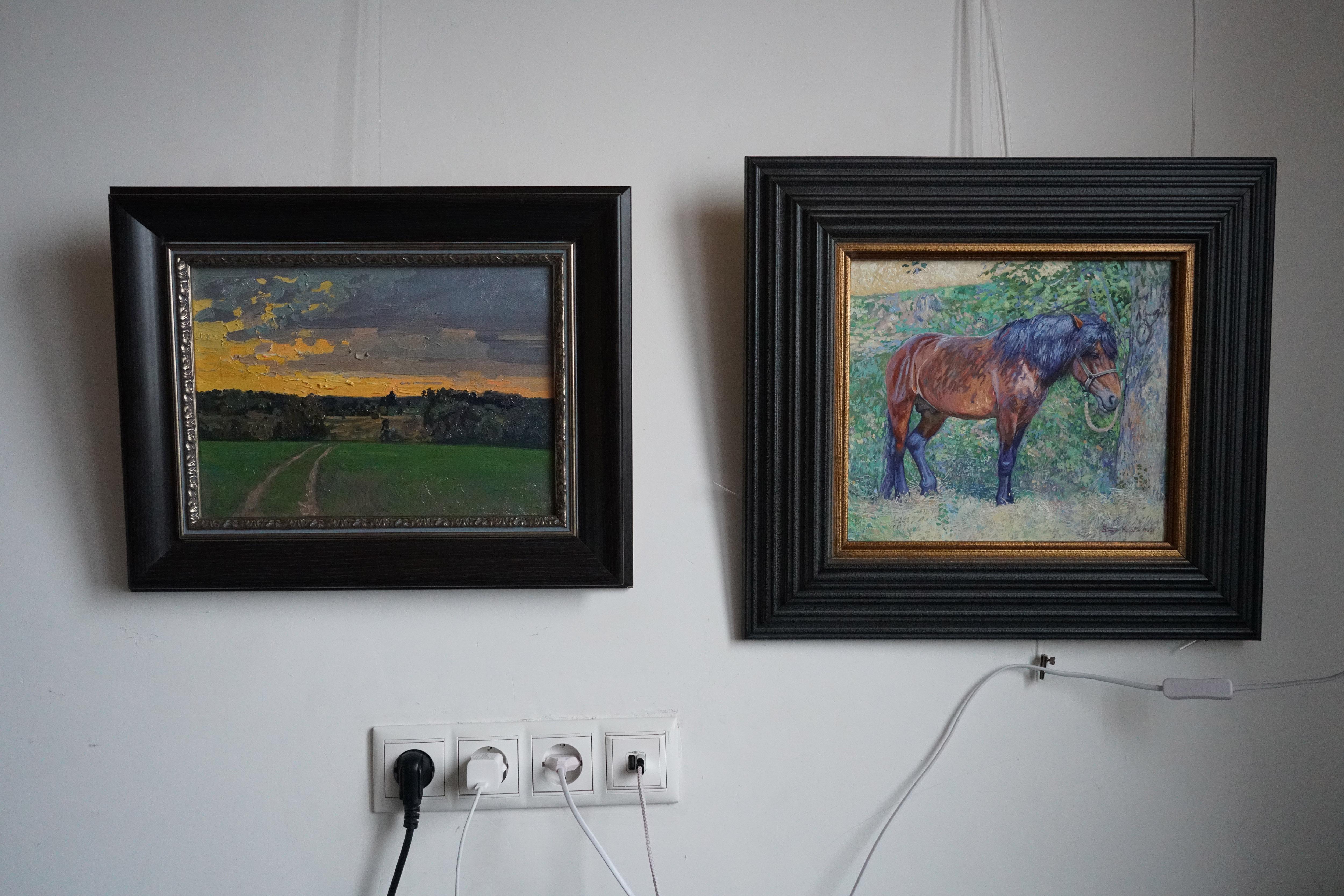 Sunset in Maksimkovo en vente 6