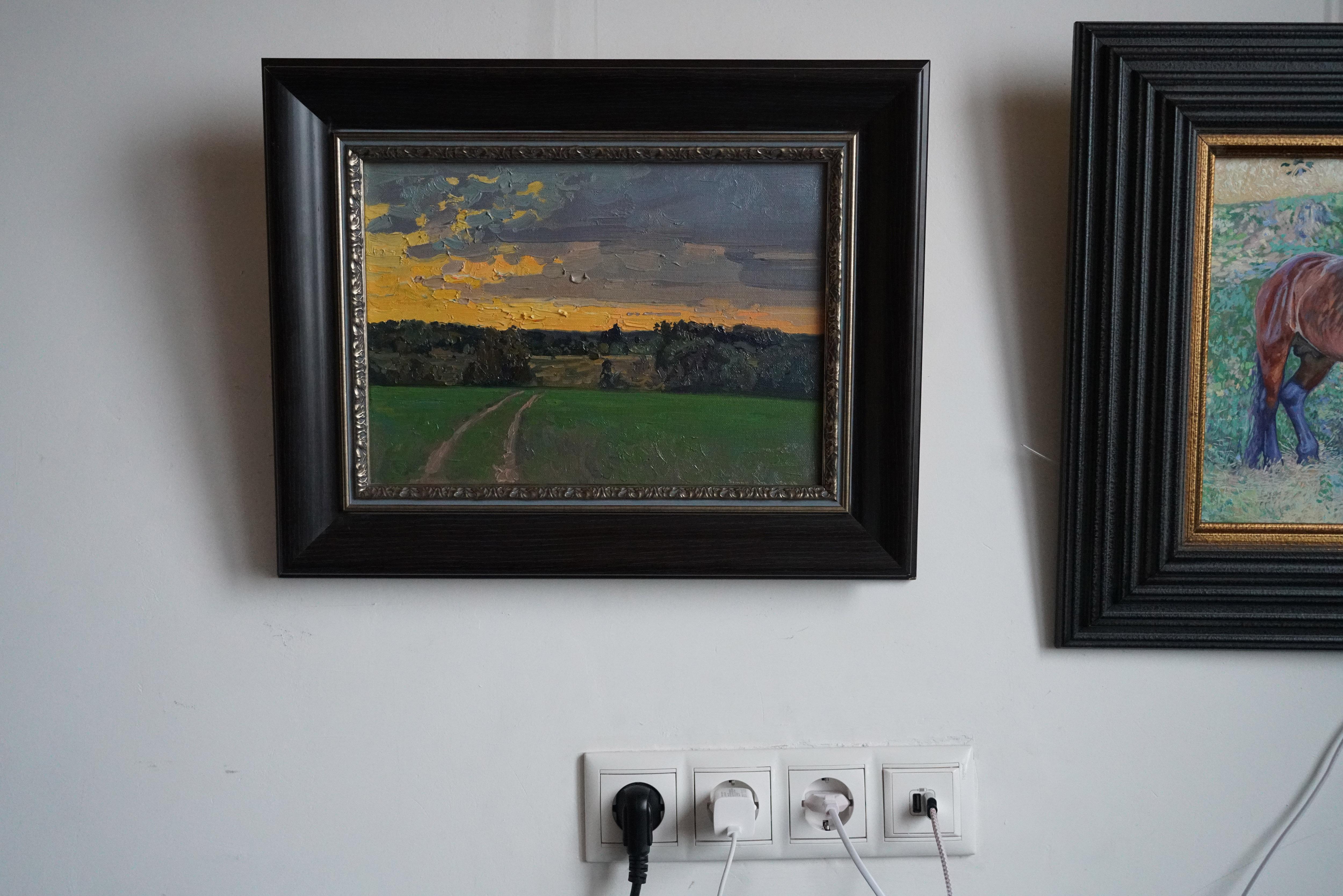 Sunset in Maksimkovo en vente 7