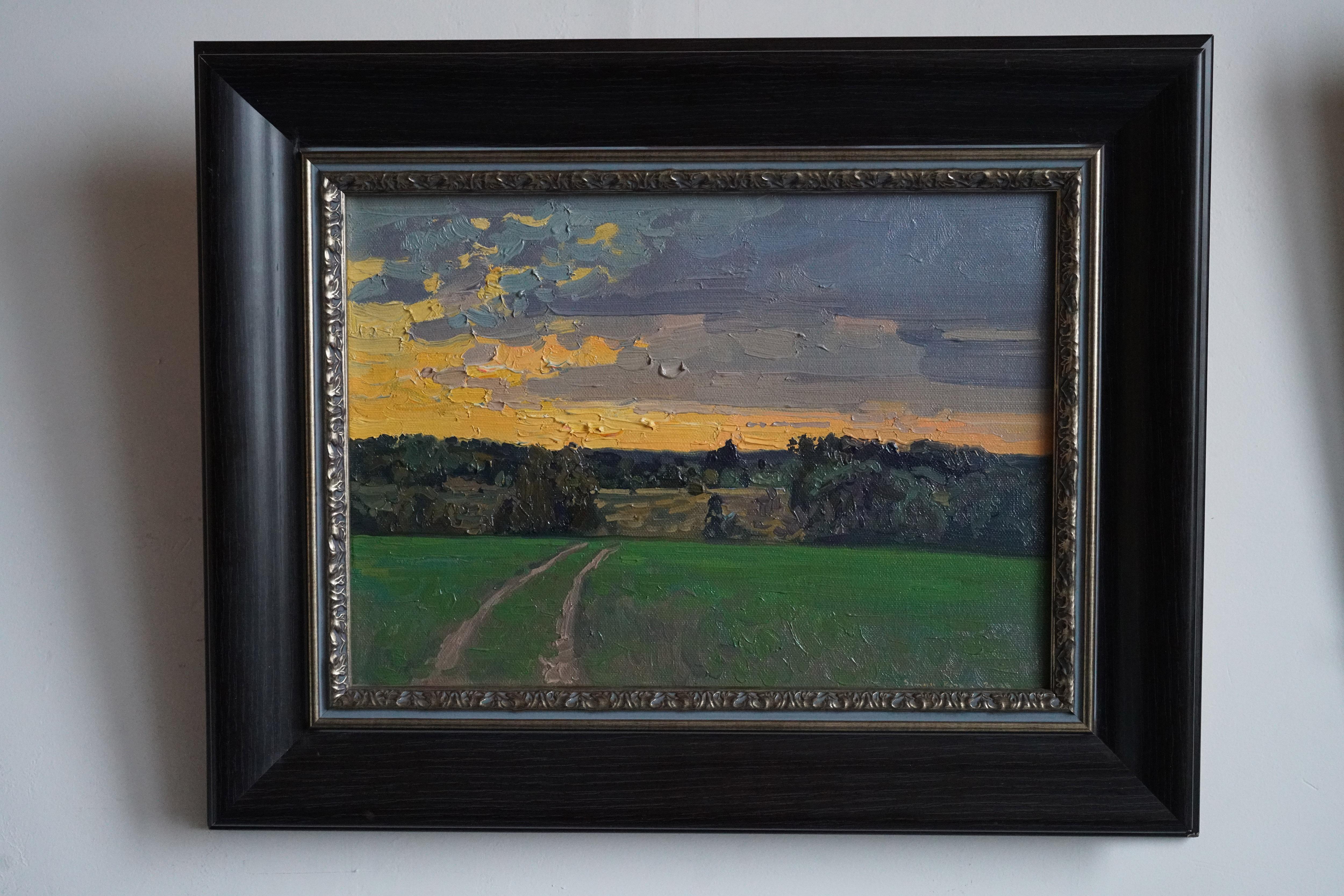 Sunset in Maksimkovo en vente 8