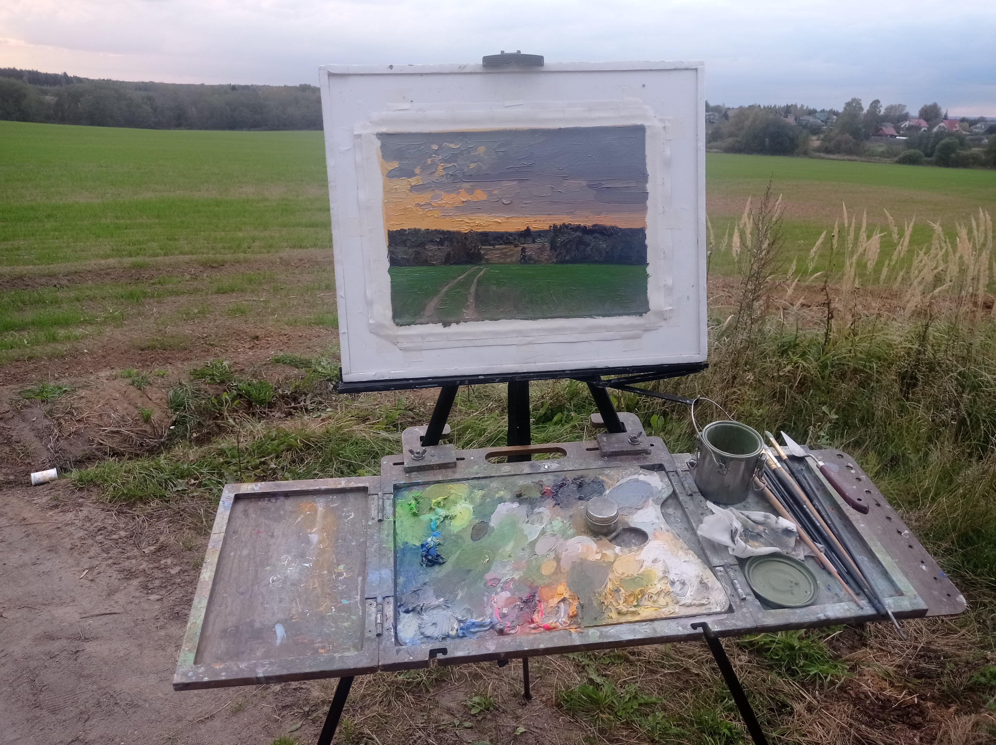 Sunset in Maksimkovo en vente 12