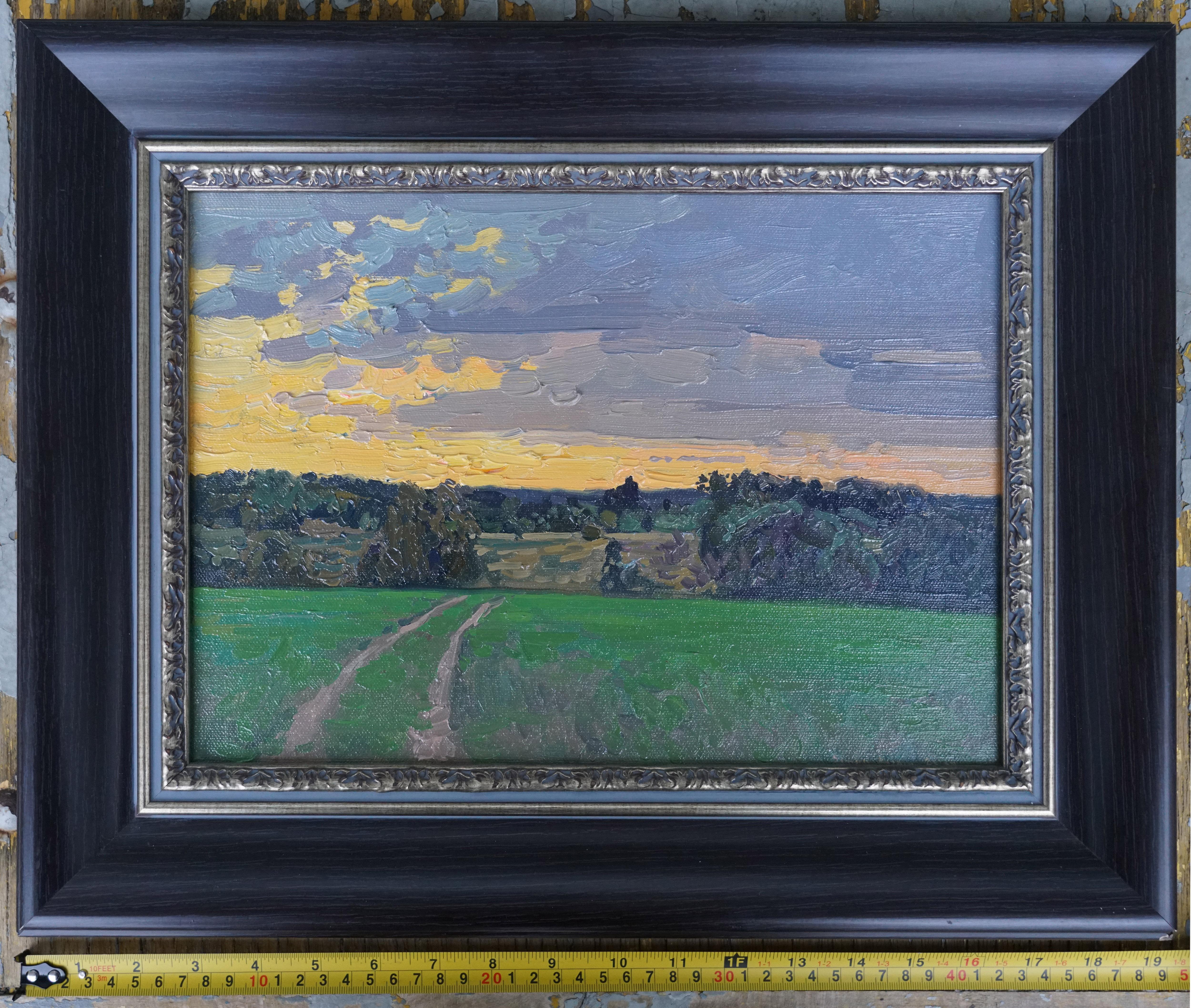 Sunset in Maksimkovo en vente 2