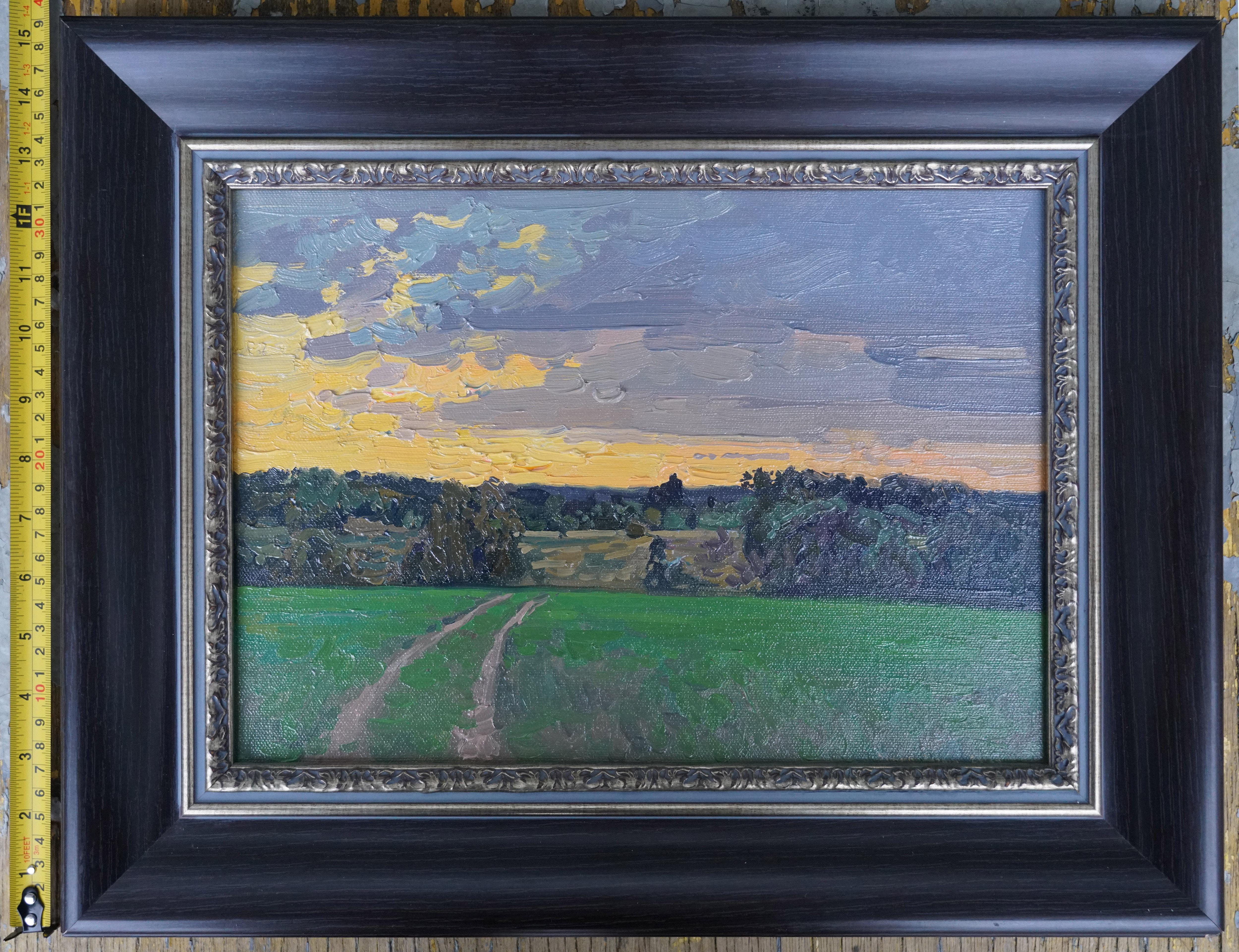 Sunset in Maksimkovo en vente 3