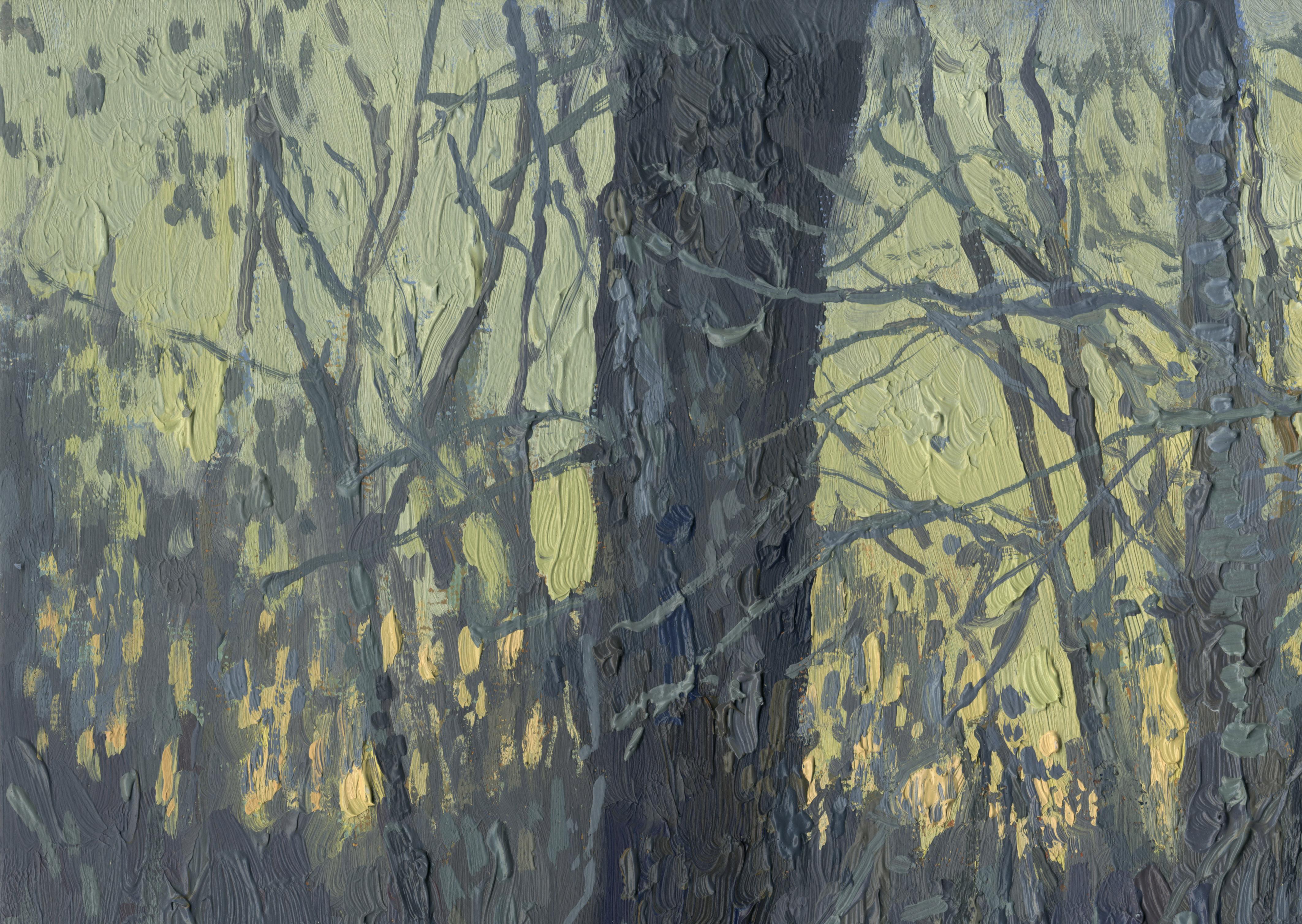Puesta de sol en Stupino. Febrero - Painting de Simon Kozhin