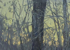 Puesta de sol en Stupino. Febrero