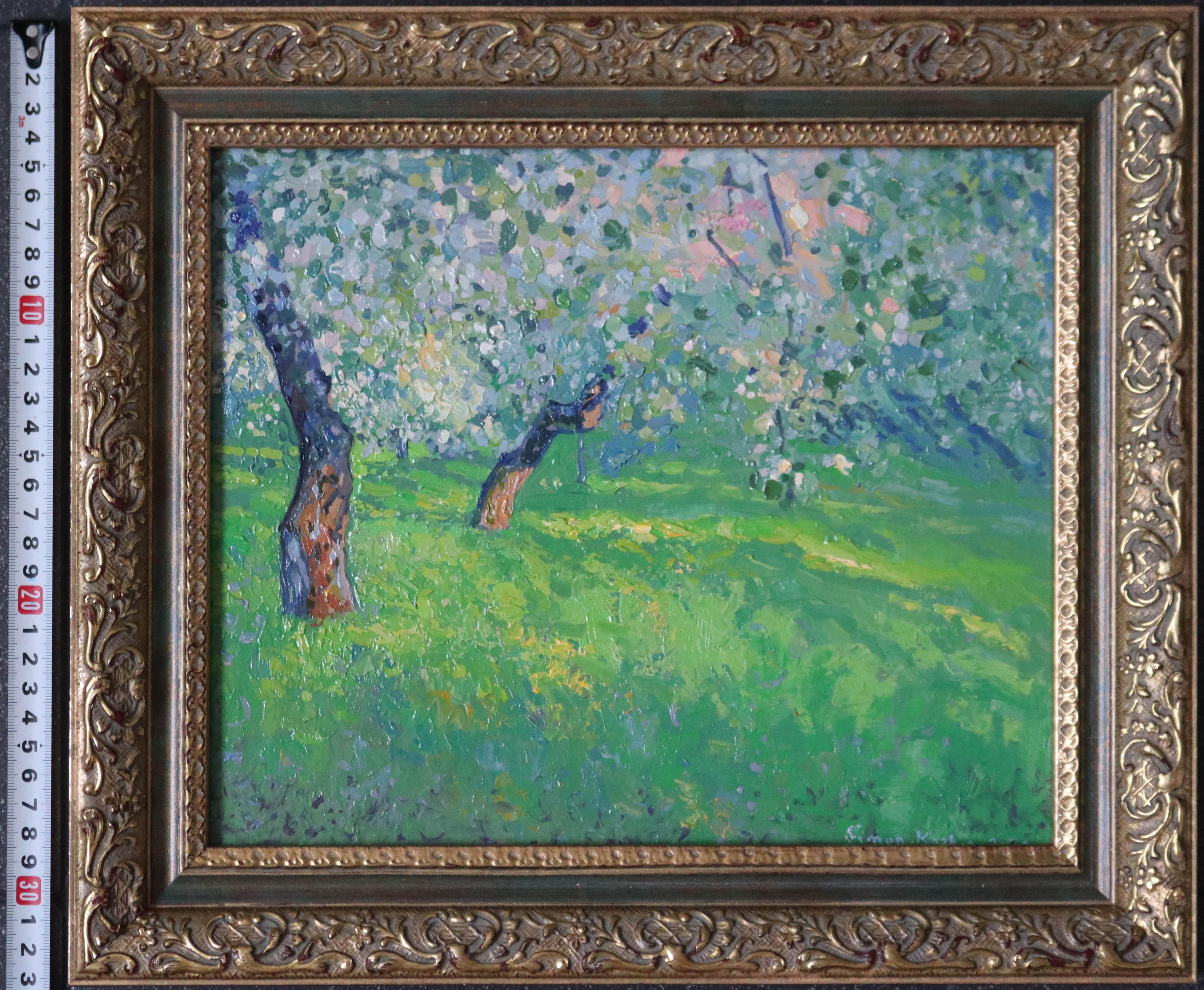 Gli ultimi raggi. Meli in fiore 2
