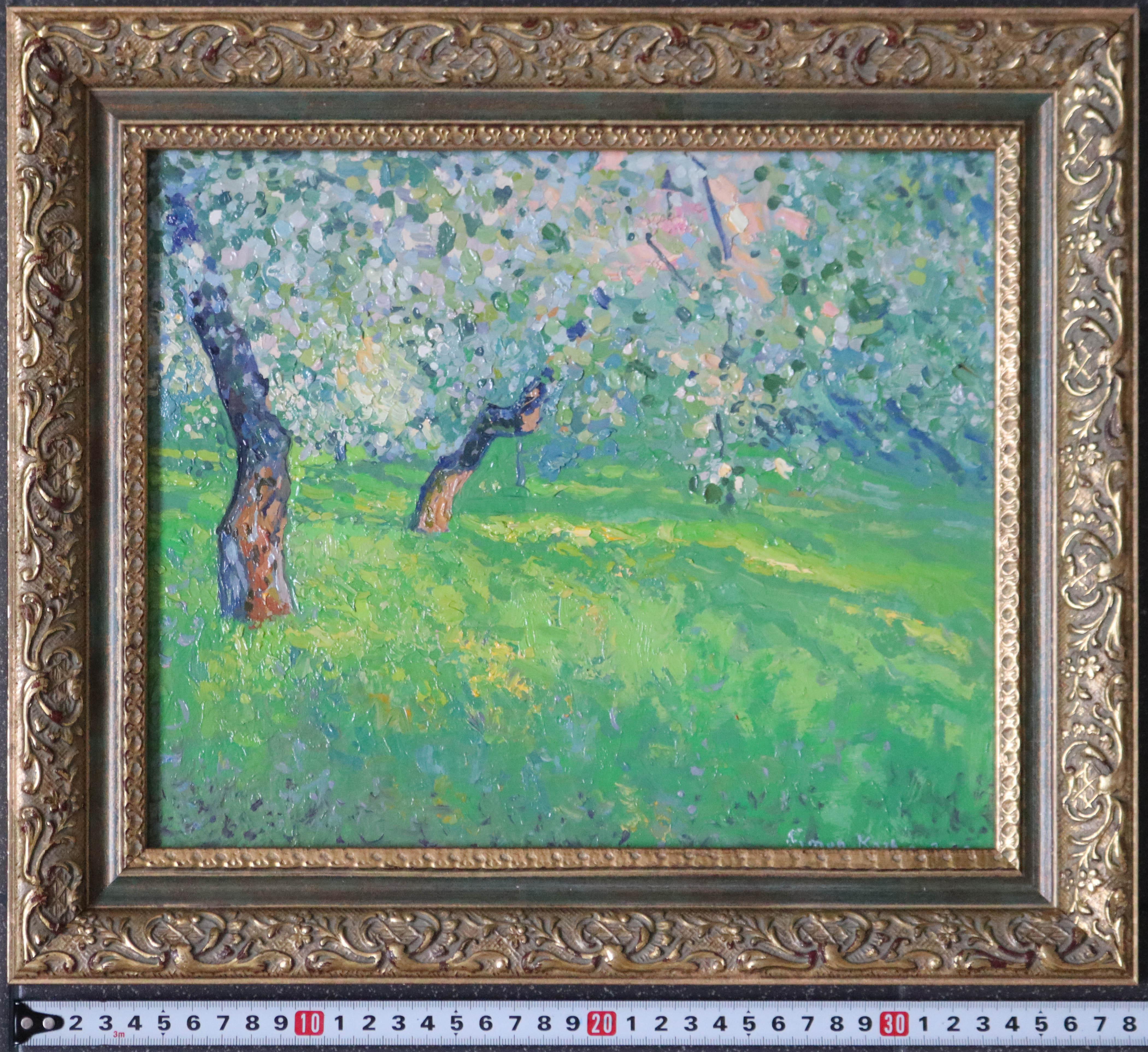 Gli ultimi raggi. Meli in fiore 3