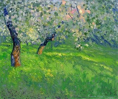 Gli ultimi raggi. Meli in fiore