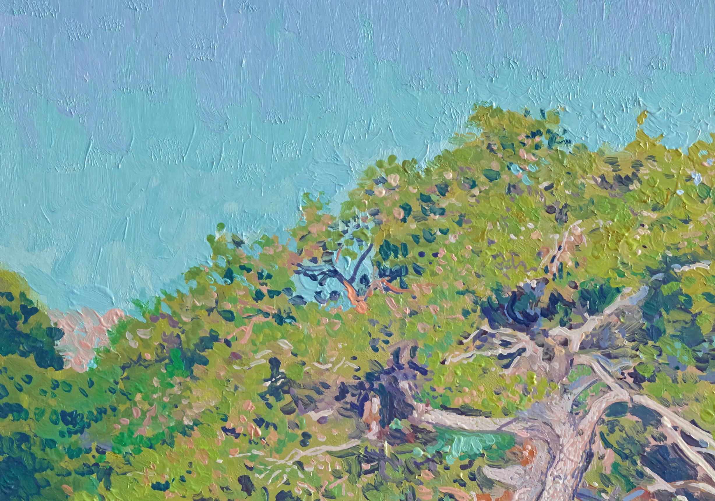 Le matin. Pins sur la côte - Painting de Simon Kozhin