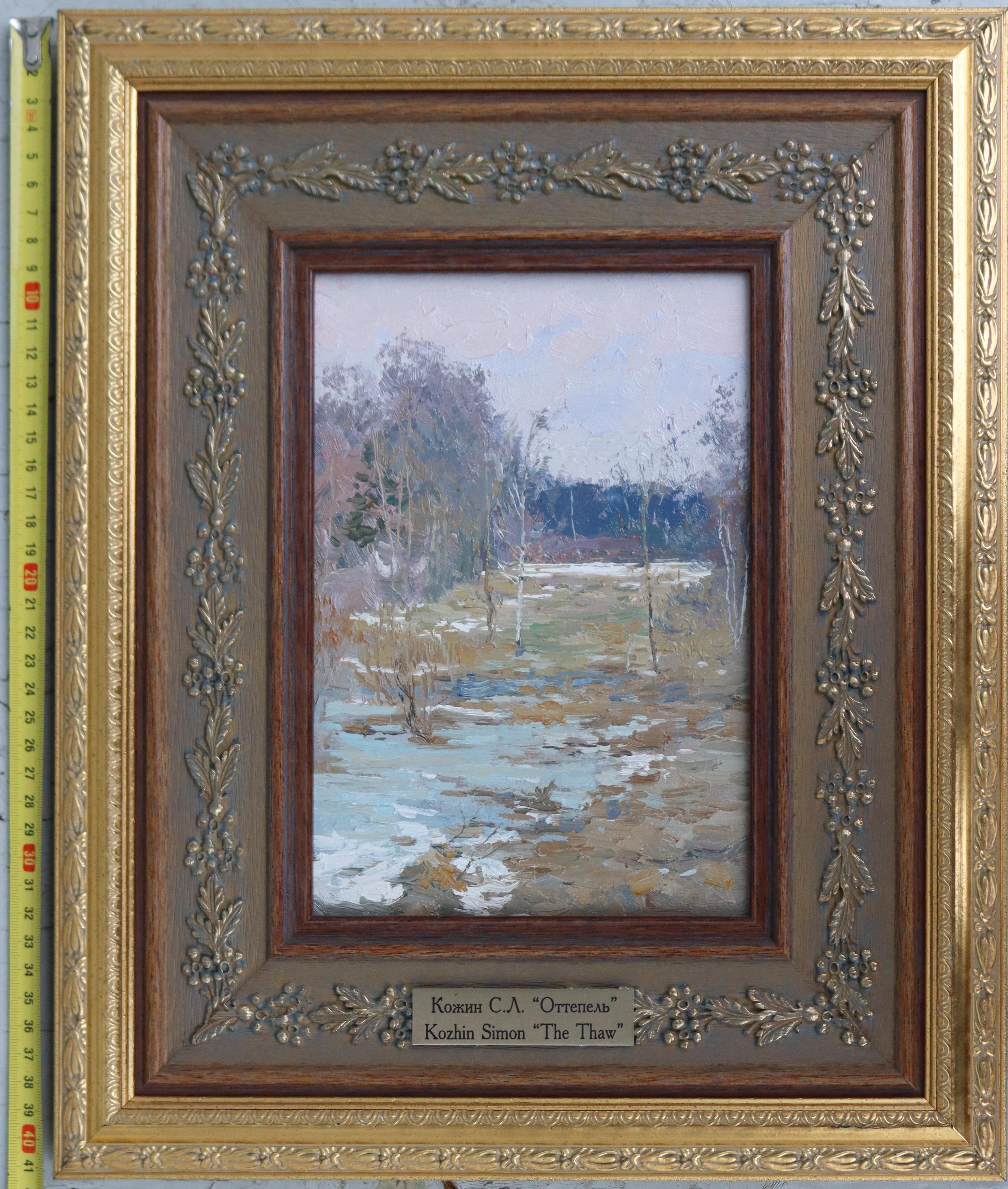 The Thaw For Sale 6