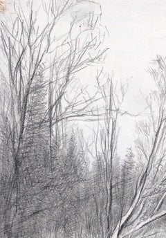 The Vorya River. Thaw - Winter Landscape Drawing, Signed, 2000