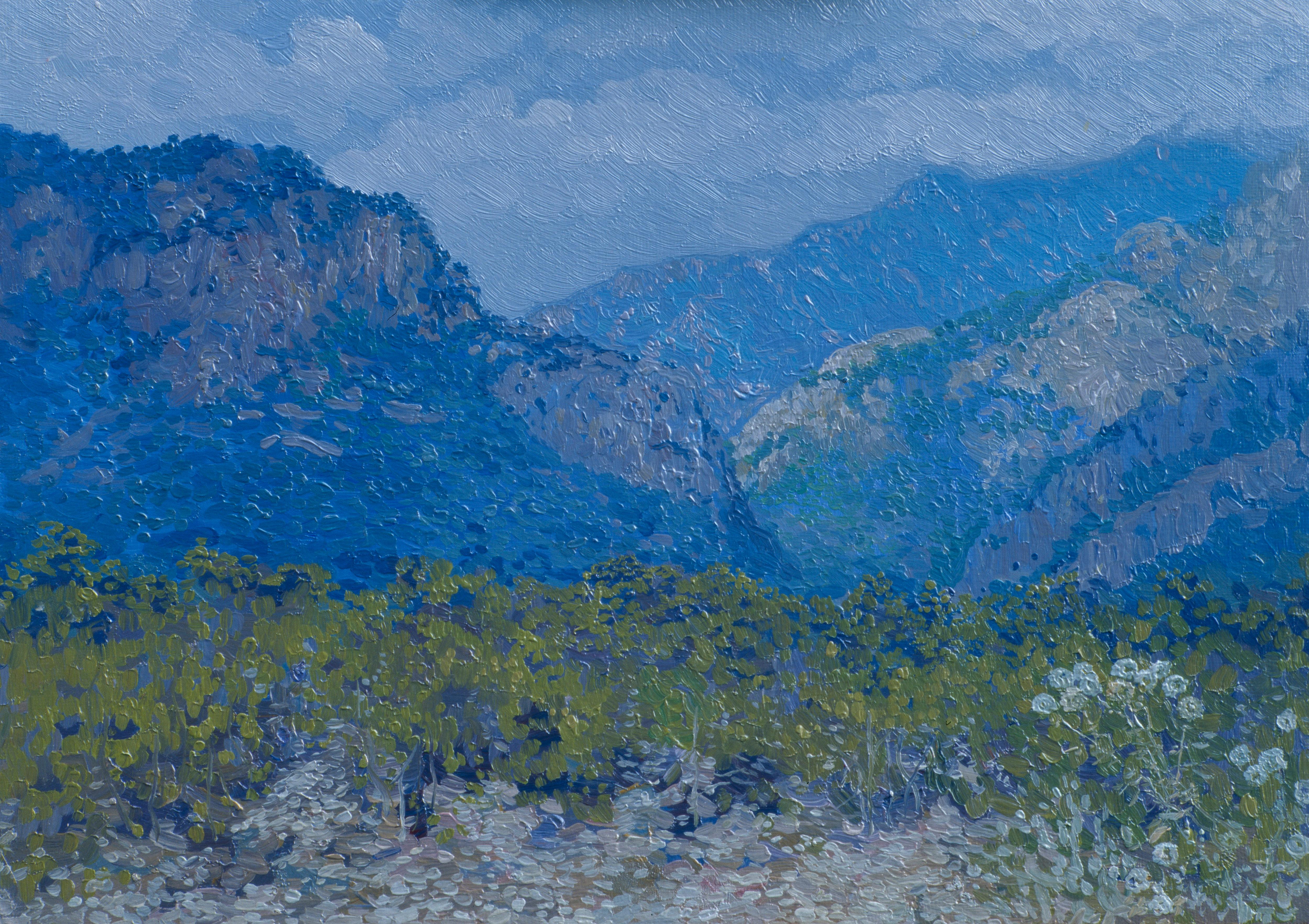 Simon Kozhin Landscape Painting – Türkei. Beldibi-Schlucht