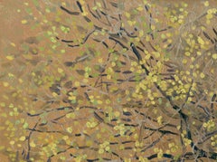 Fleurs de saule