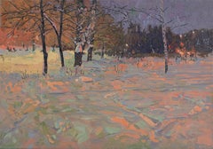 Winter night. Maryino