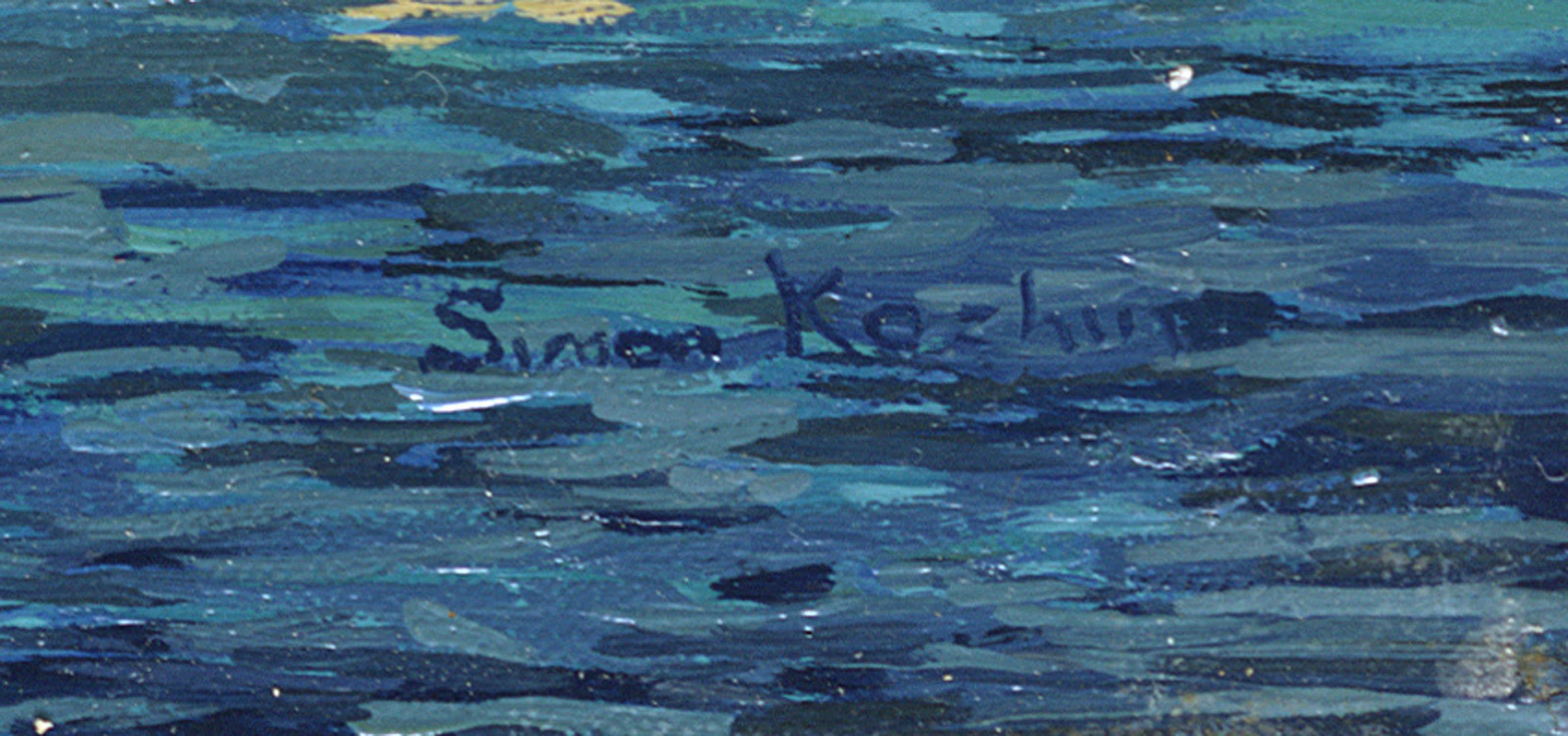 Simon Kozhin New Albion. Sir Francis Drakes ship Canvas Print For