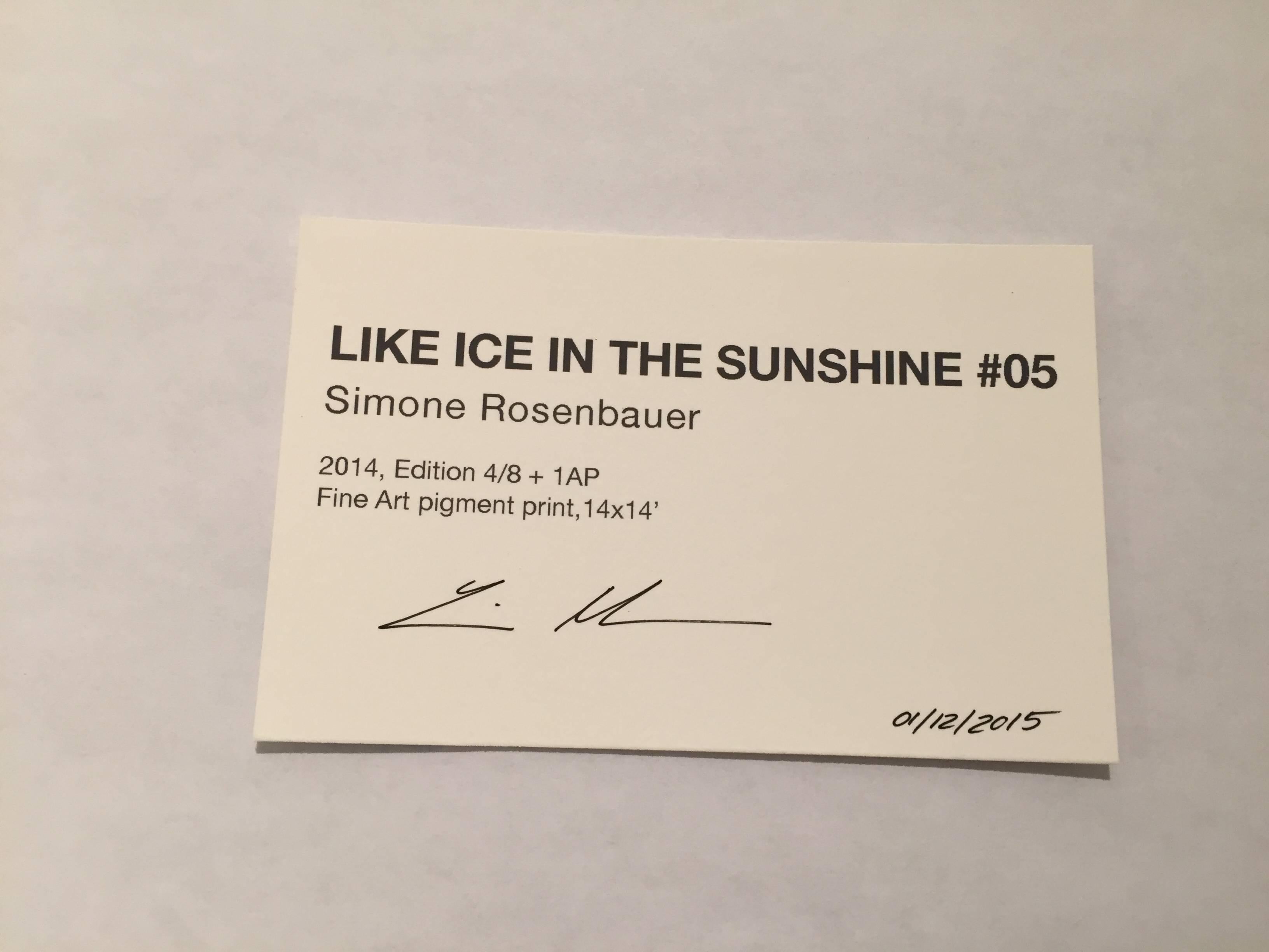 Like Ice in the Sunshine No. 05 - Photograph by Simone Rosenbauer