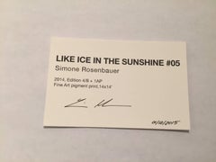 Like Ice in the Sunshine No. 05